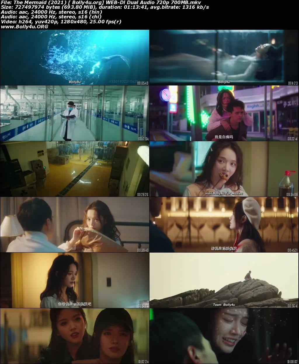 The Mermaid 2021 WEB-DL 700MB Hindi Dual Audio 720p Download