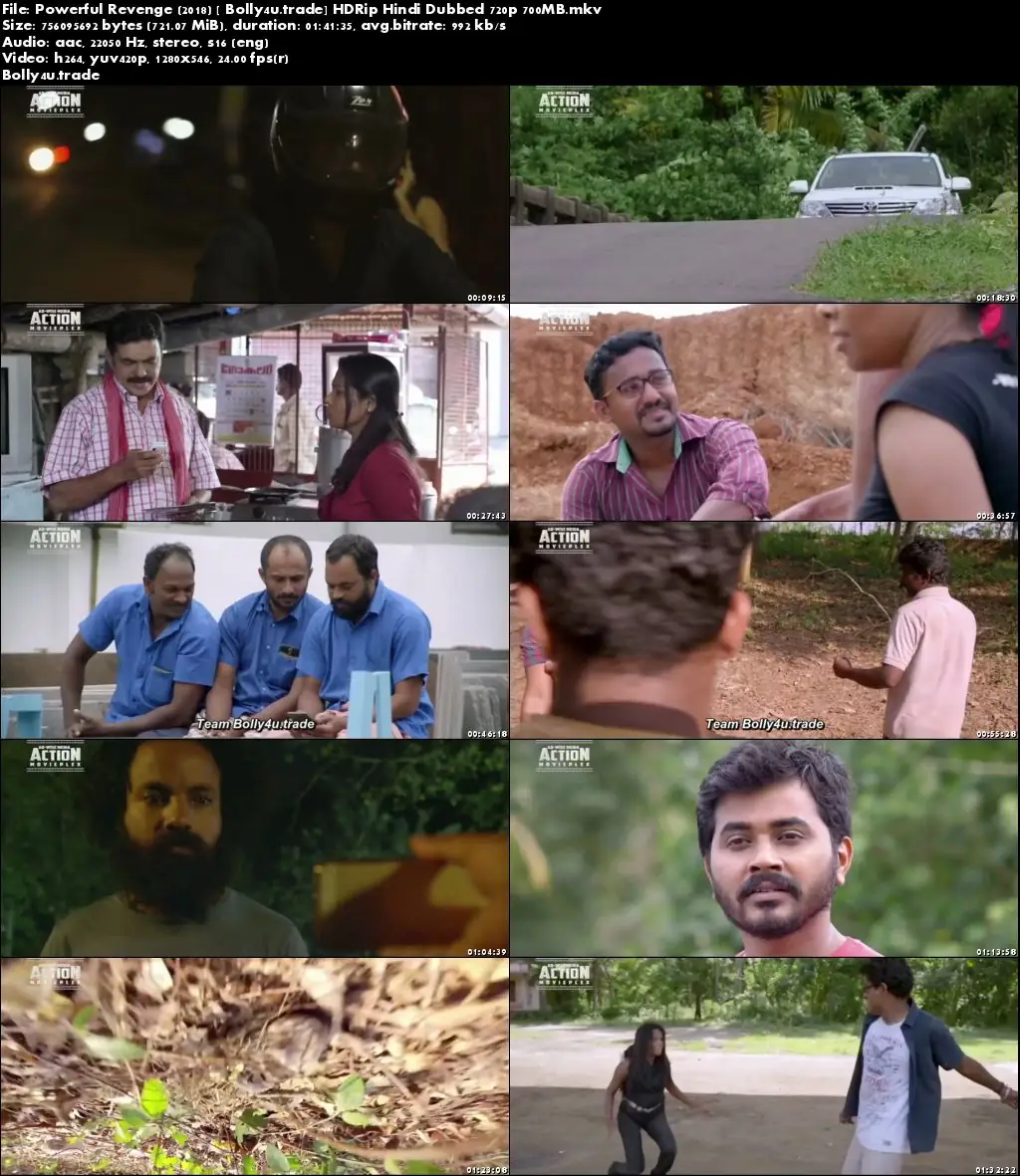 Powerful Revenge 2018 HDRip 300MB Hindi Dubbed 480p Download