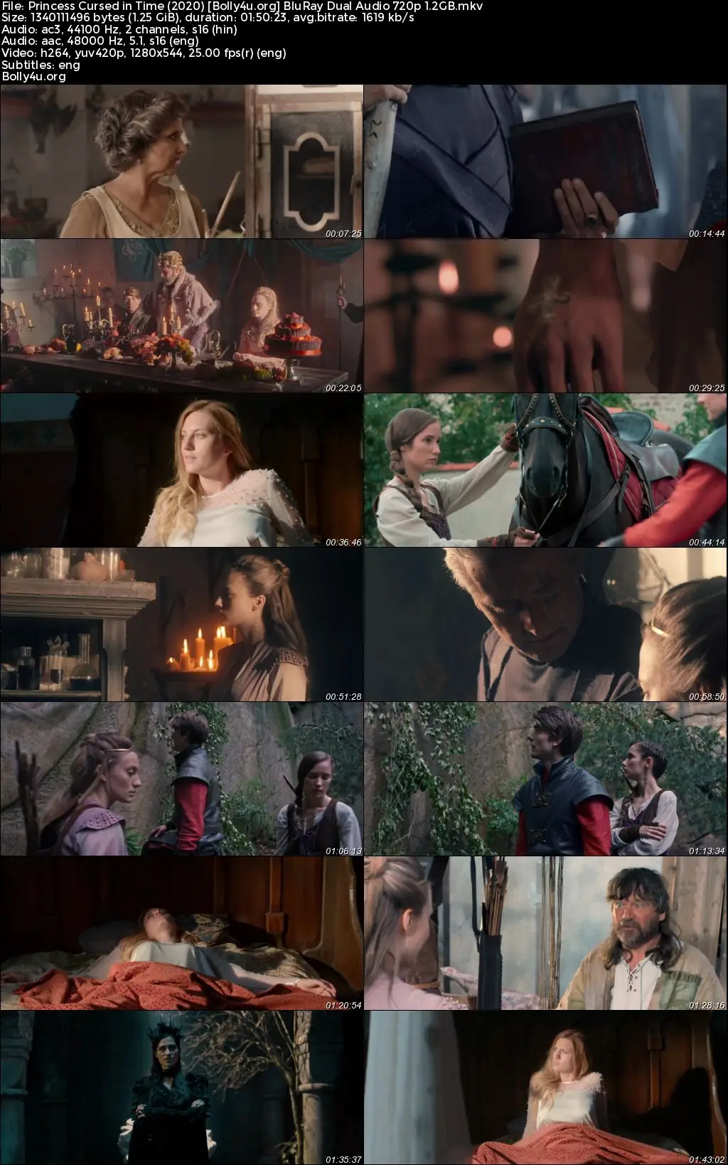 Princess Cursed in Time 2020 BluRay Hindi Dual Audio Full Movie Download 720p  480p