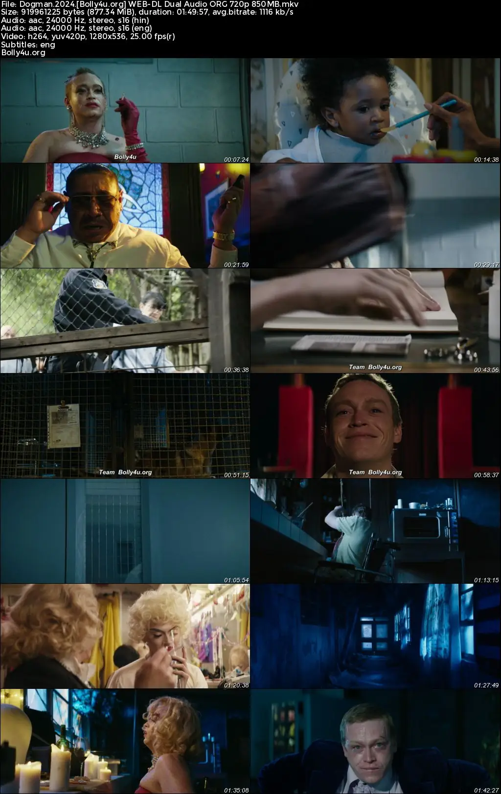 Dogman 2024 WEB-DL Hindi Dual Audio ORG Full Movie Download 1080p  720p  480p