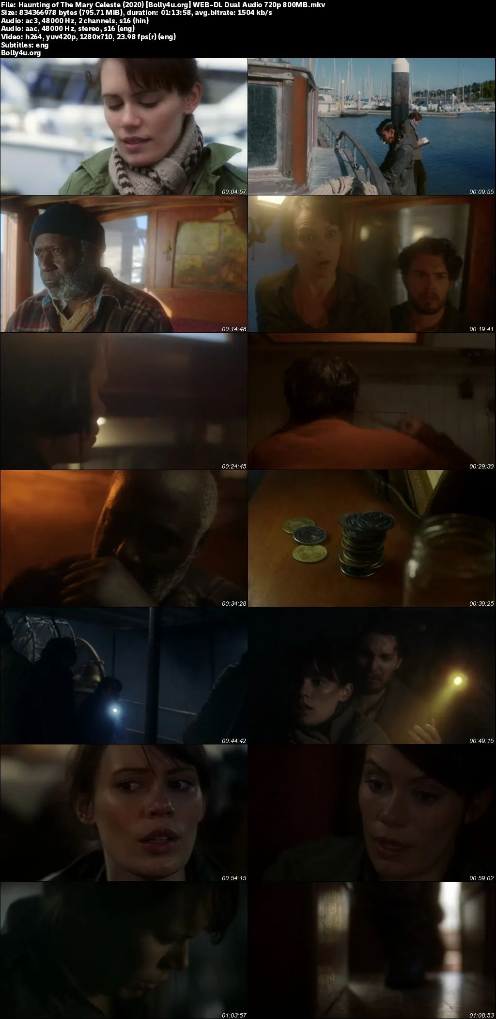 Haunting of The Mary Celeste 2020 WEB-DL Hindi Dual Audio Full Movie Download 720p  480p