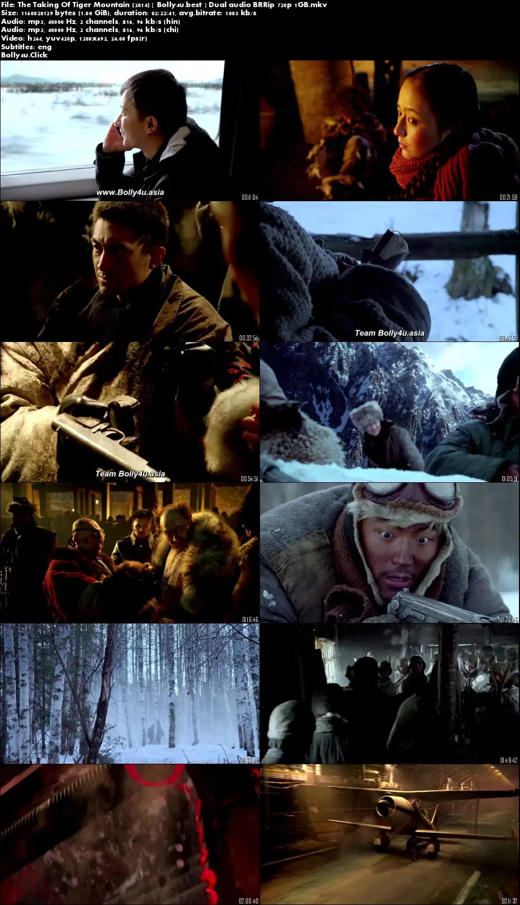 The Taking Of Tiger Mountain 2014 BluRay 1GB Hindi Dual Audio 720p Download