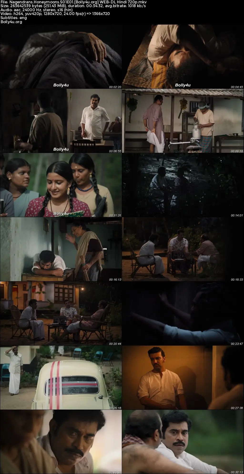 Nagendrans Honeymoons 2024 WEB-DL Hindi S01 Complete Download 720p  480p