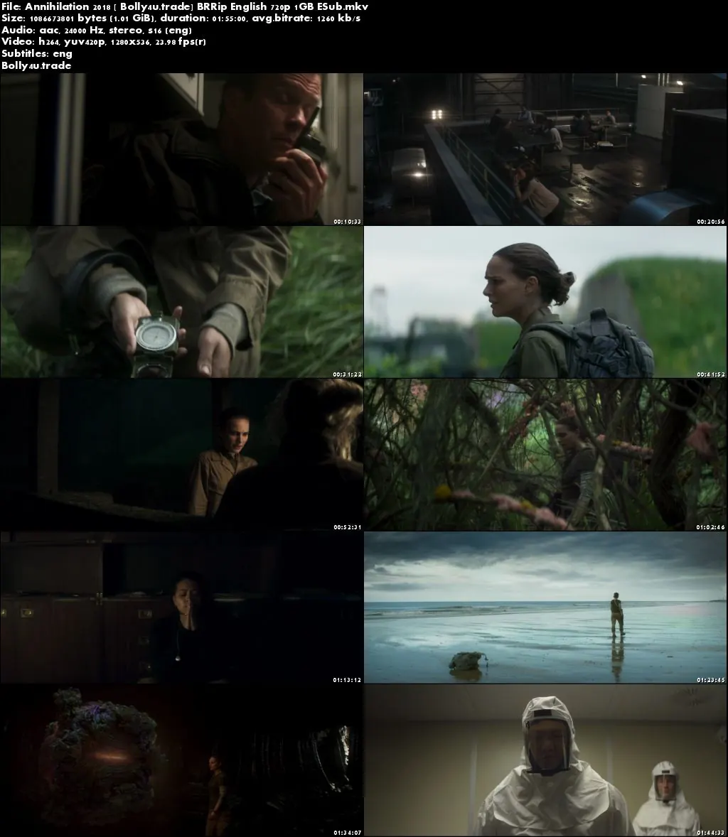 Annihilation 2018 BRRip 350MB English 480p ESub Download