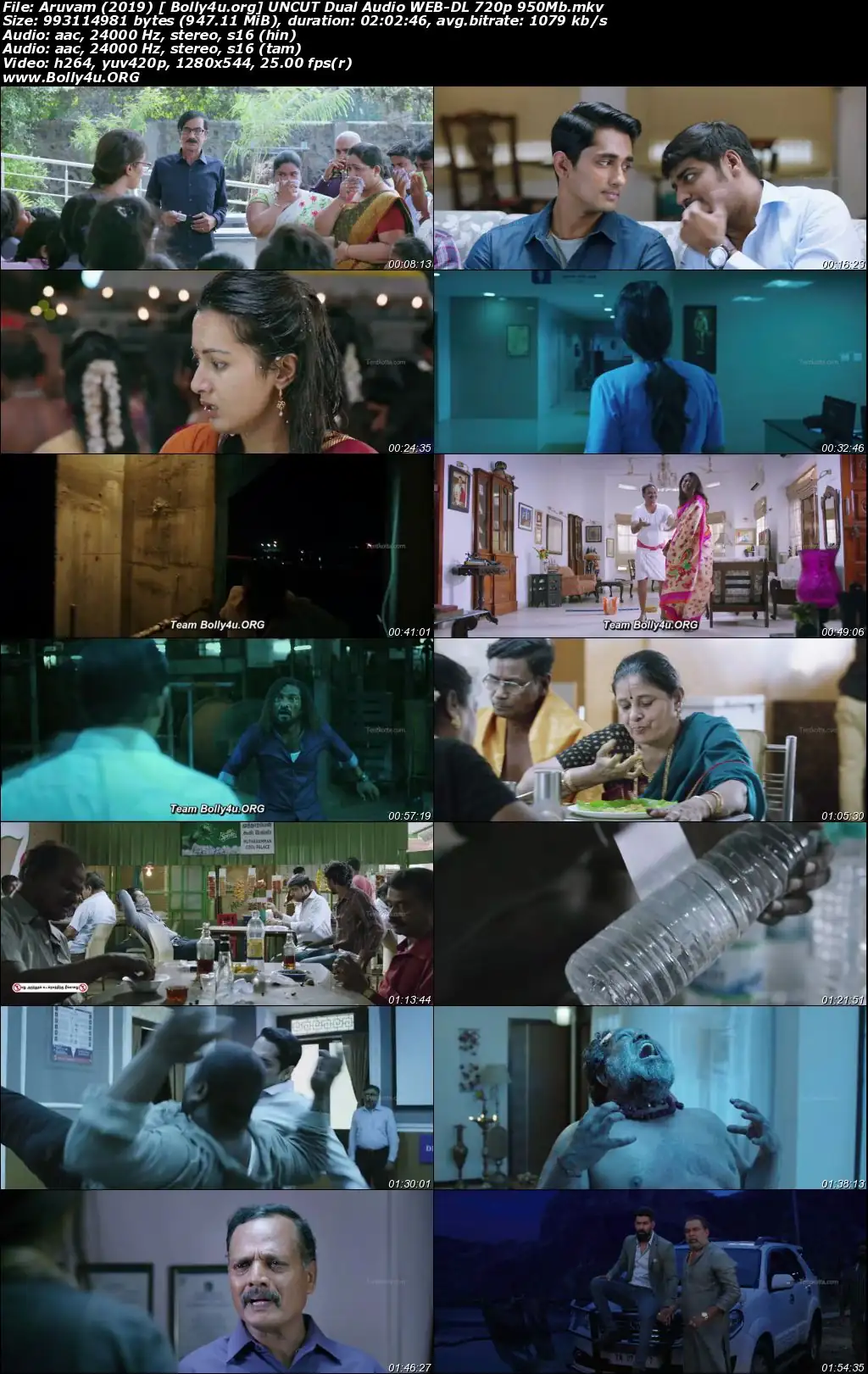 Aruvam 2019 WEB-DL 400Mb UNCUT Hindi Dual Audio 480p Download