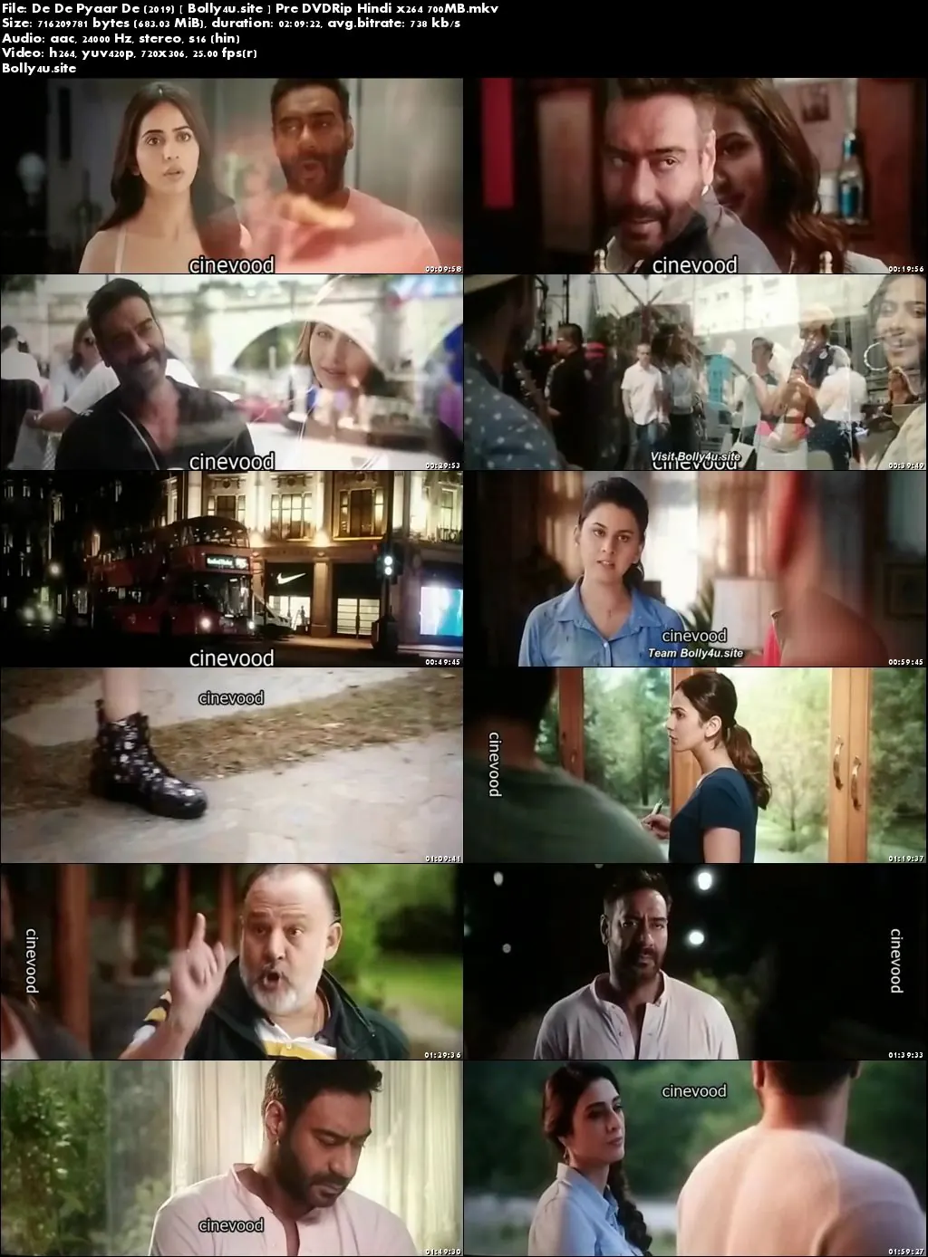 De De Pyaar De 2019 Pre DVDRip 300MB Hindi 480p Download