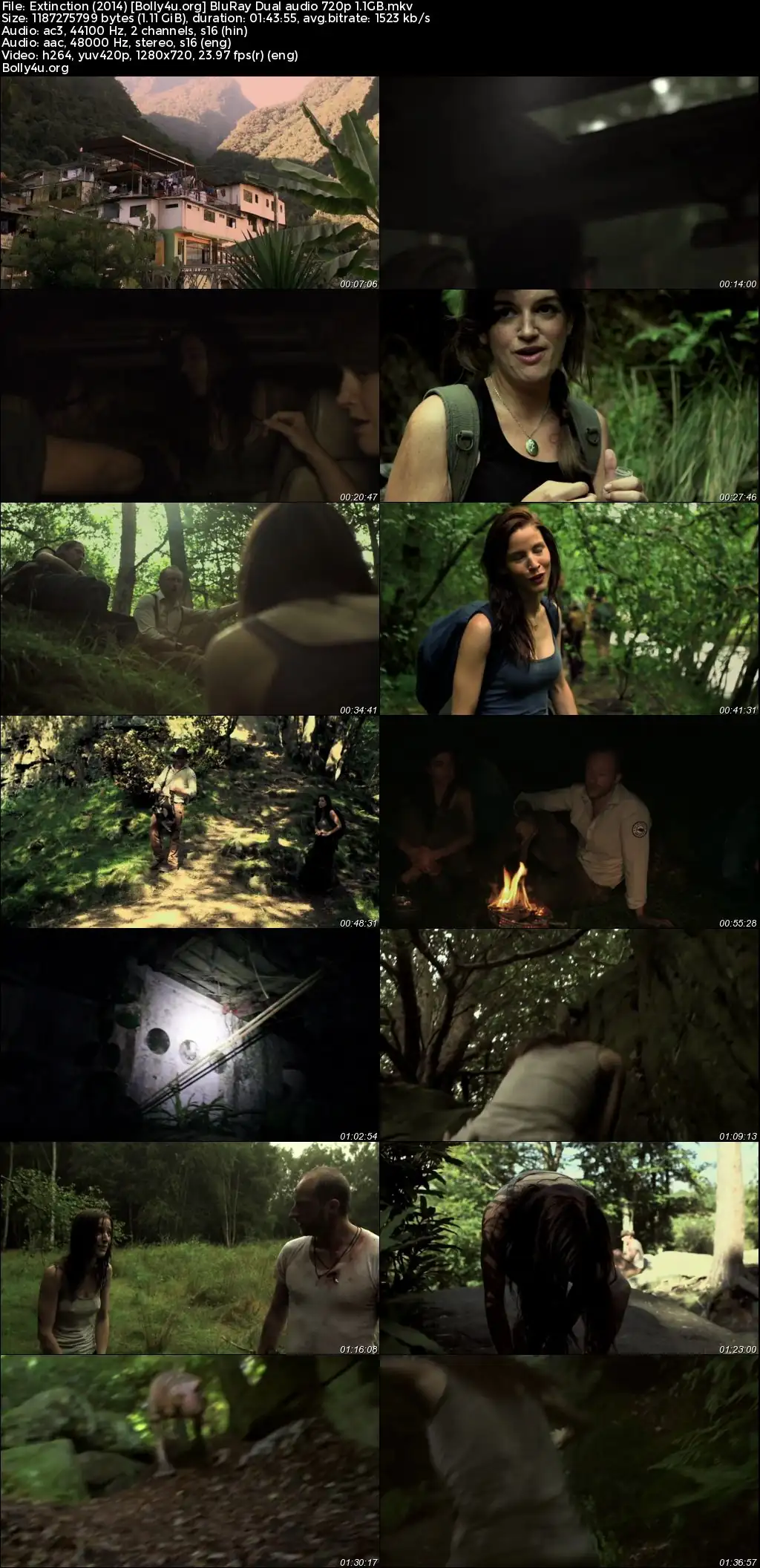 Extinction 2014 BluRay Hindi Dual Audio Full Movie Download 720p  480p