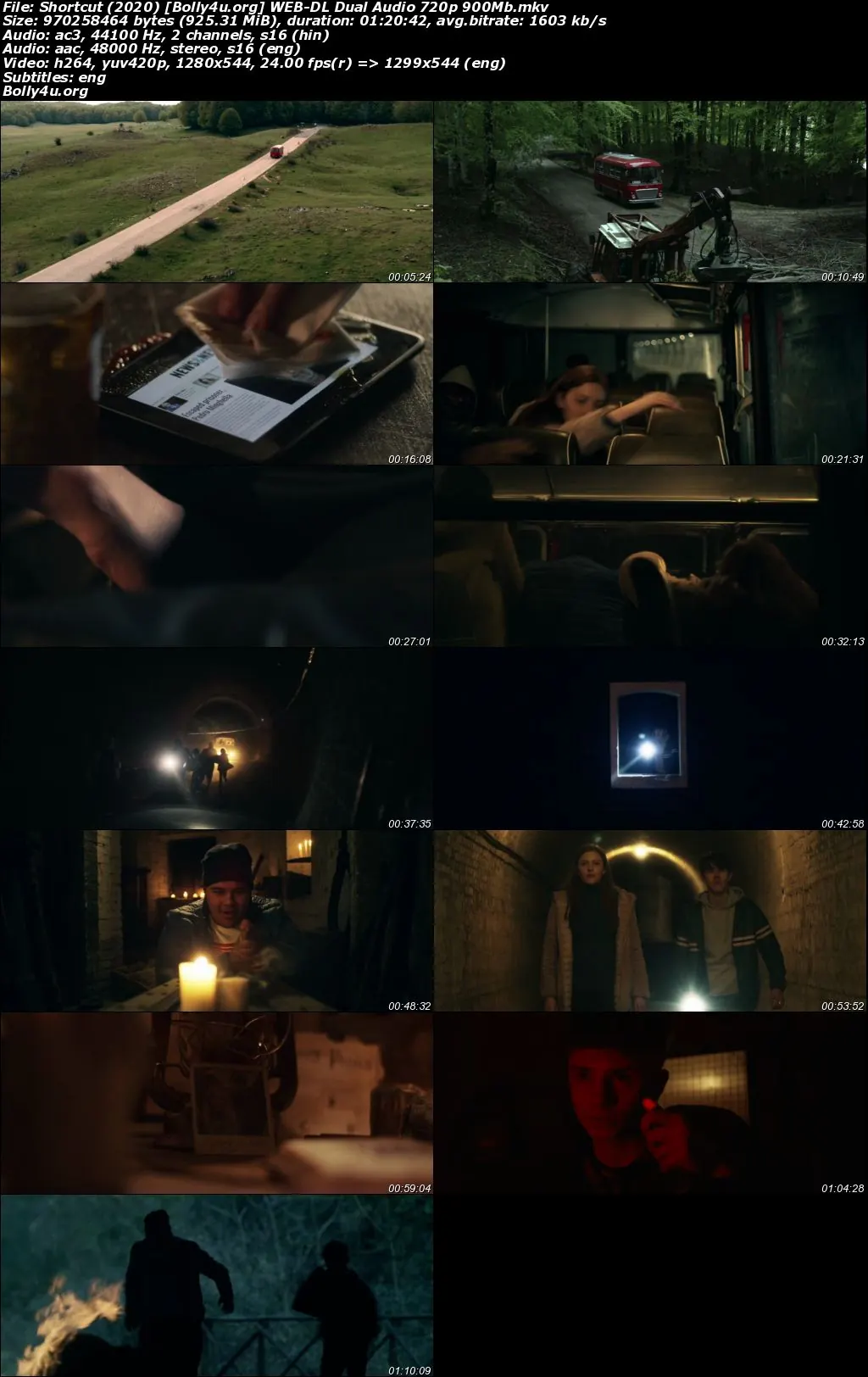 Shortcut 2020 WEB-DL Hindi Dual Audio Full Movie Download 720p  480p