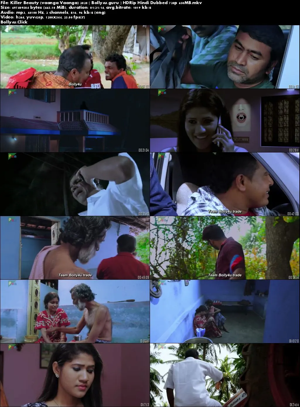 Killer Beauty 2020 HDRip 300Mb Hindi Dubbed 480p Download