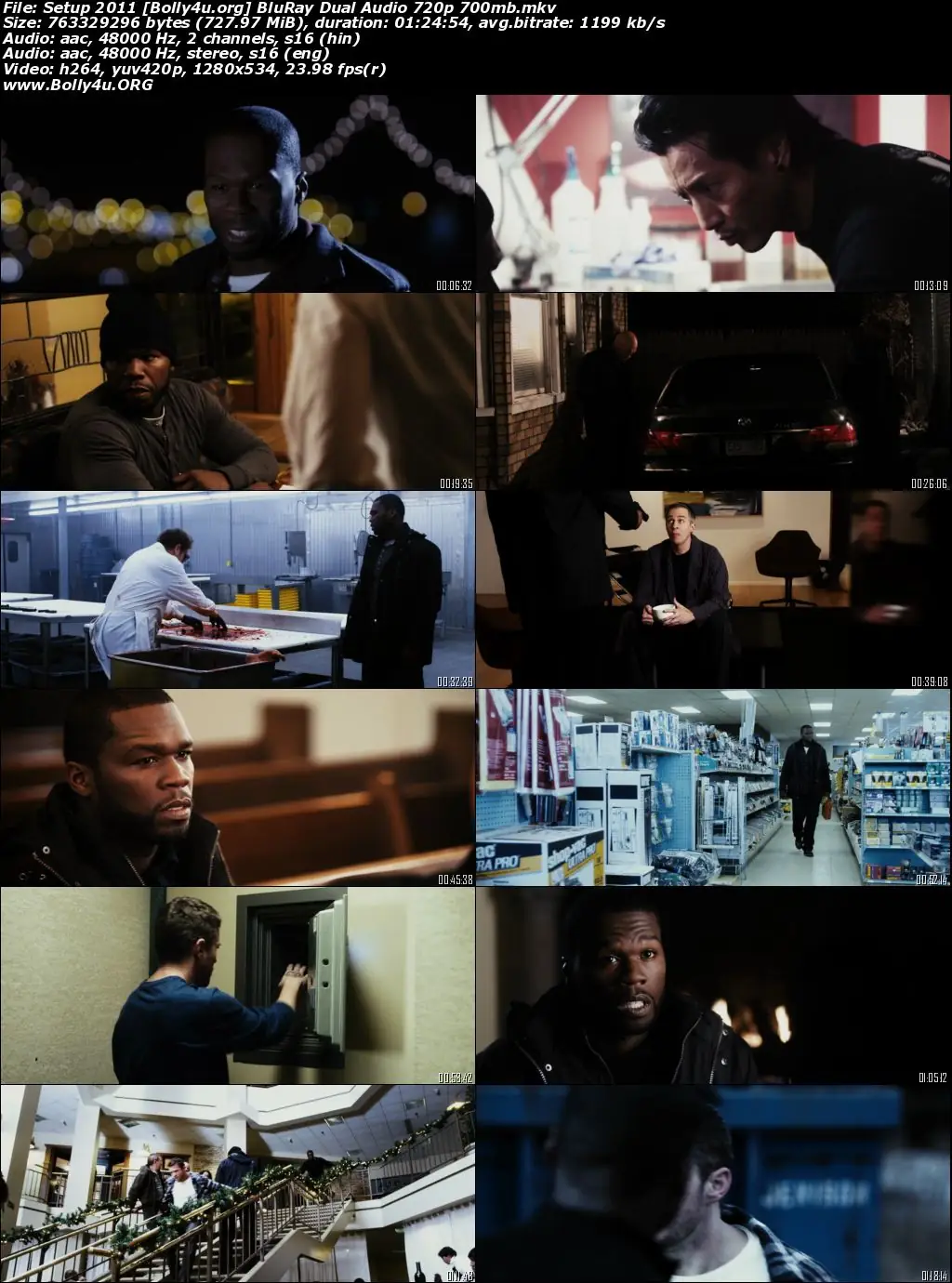 Setup 2011 BluRay 700MB Hindi Dual Audio 720p Download
