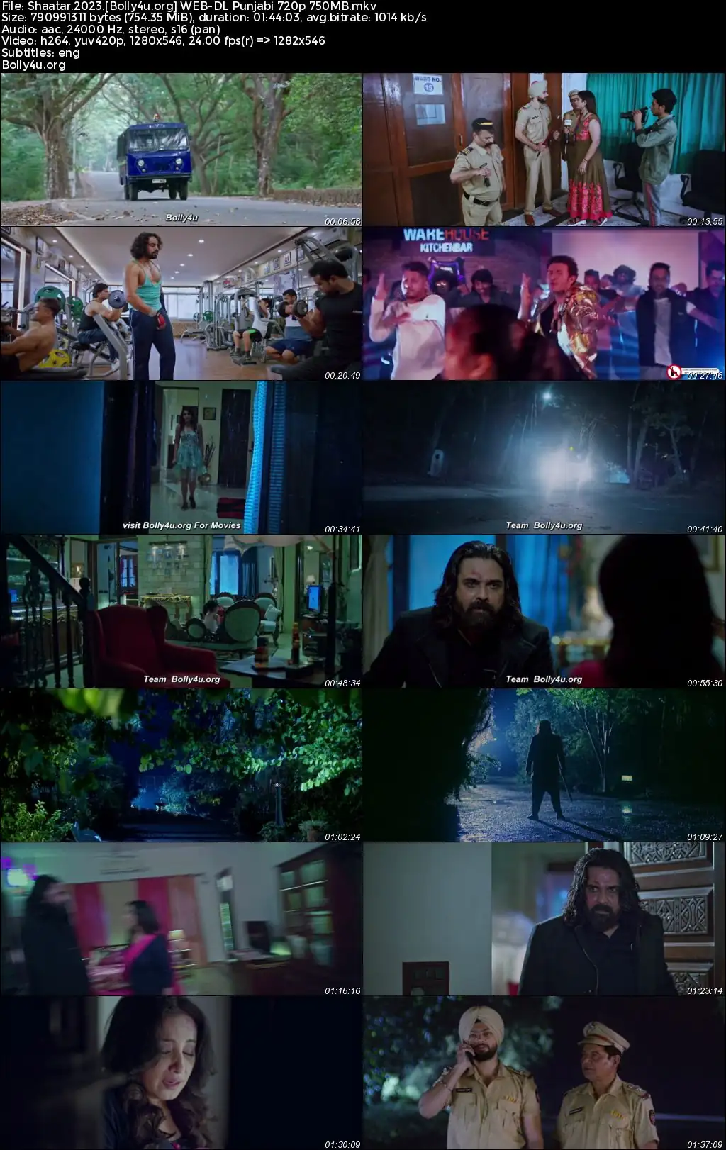 Shaatar 2023 WEB-DL Punjabi Full Movie Download 1080p  720p  480p