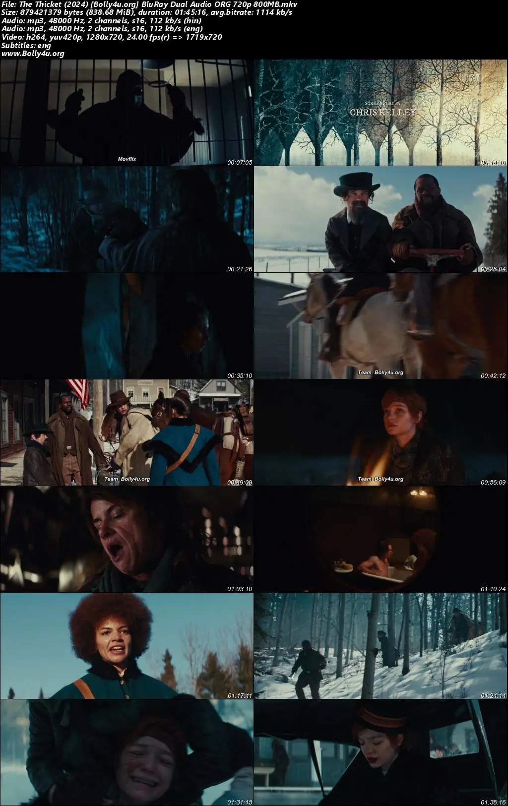 The Thicket 2024 BluRay Hindi Dual Audio ORG Full Movie Download 1080p  720p  480p