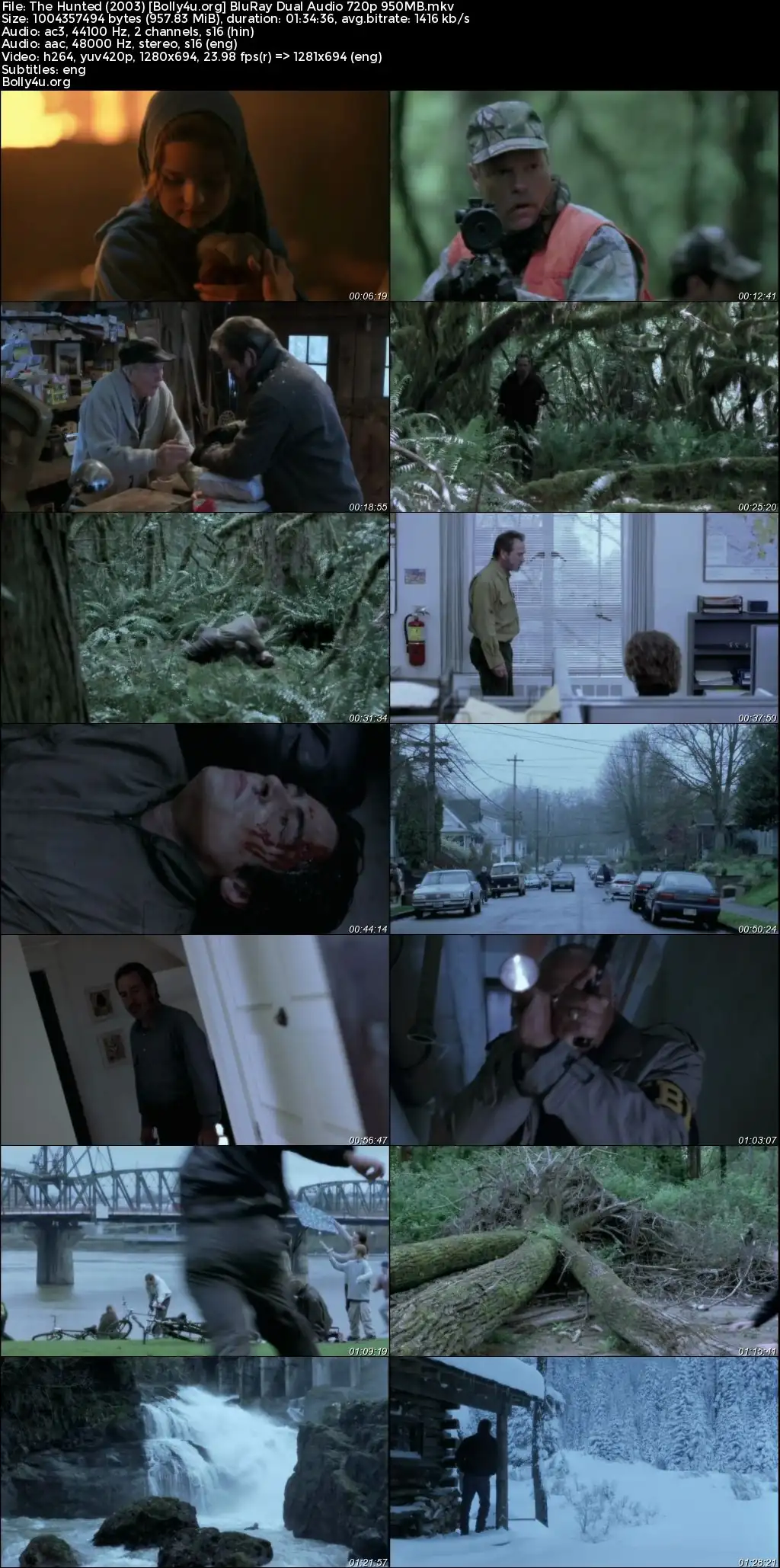 The Hunted 2003 BluRay Hindi Dual Audio Full Movie Download 720p  480p