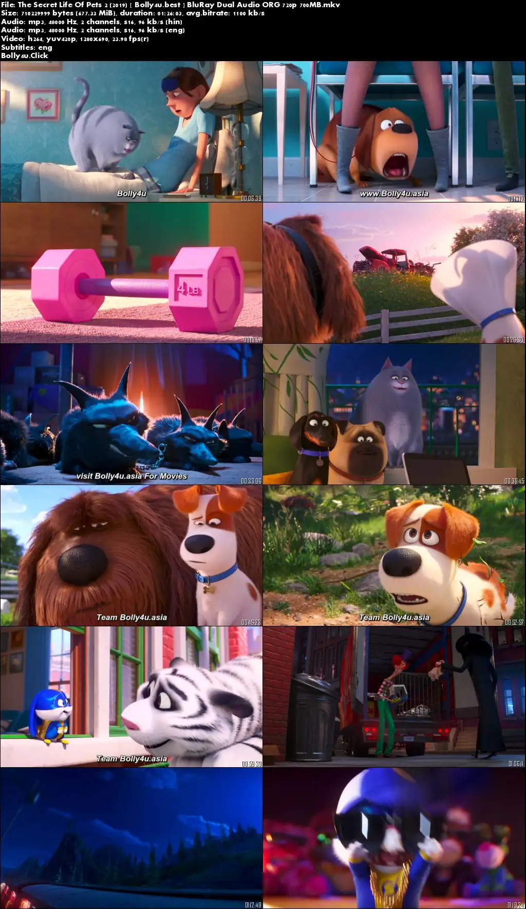 The Secret Life Of Pets 2 2019 BluRay 300MB Hindi Dual Audio ORG 480p Download