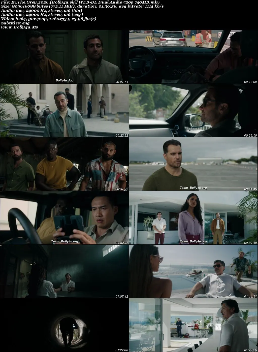 In The Grey 2026 WEB-DL Hindi Dual Audio ORG Full Movie Download 1080p  720p  480p