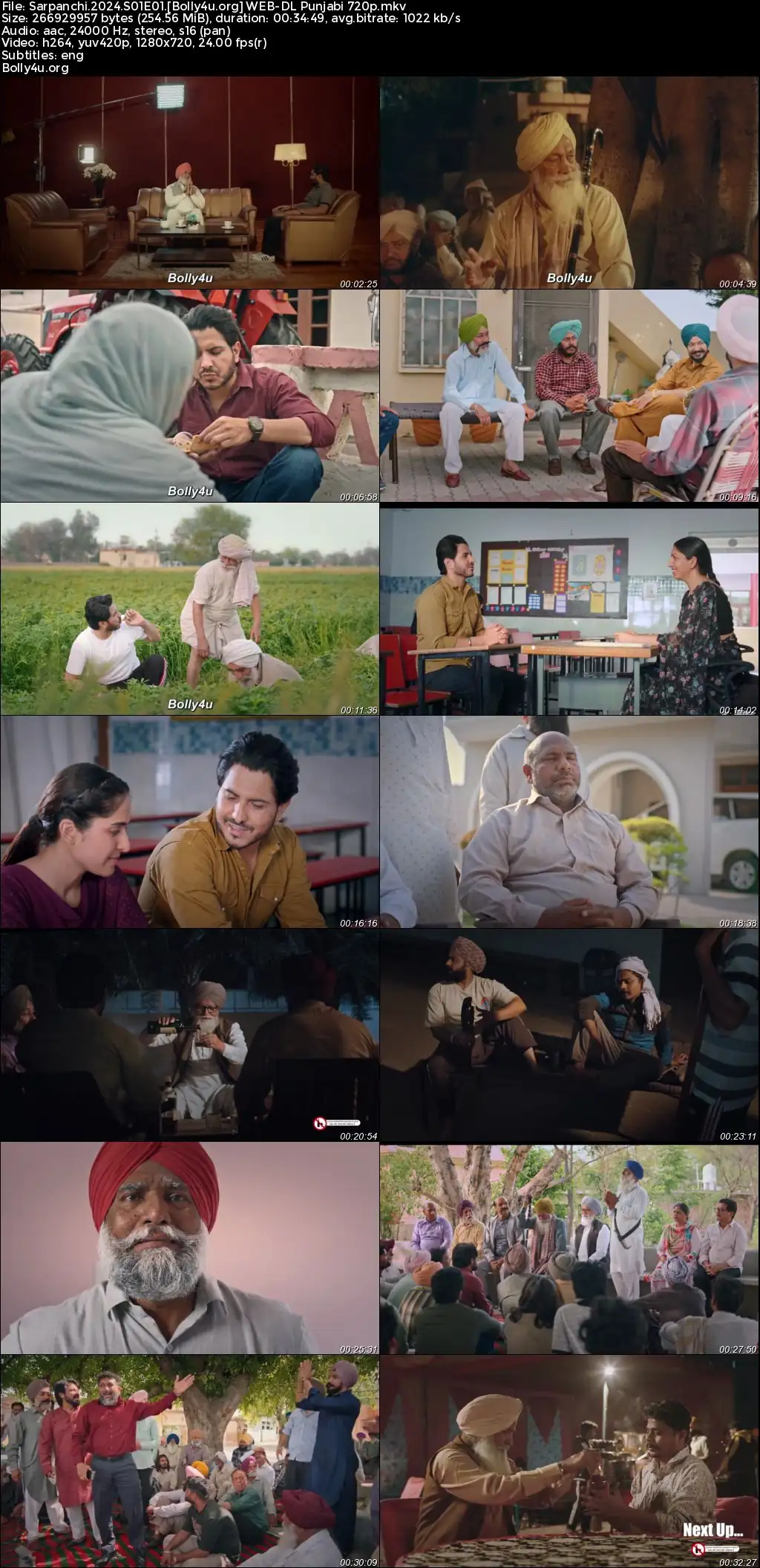 Sarpanchi 2024 WEB-DL Punjabi S01 Complete Download 720p  480p