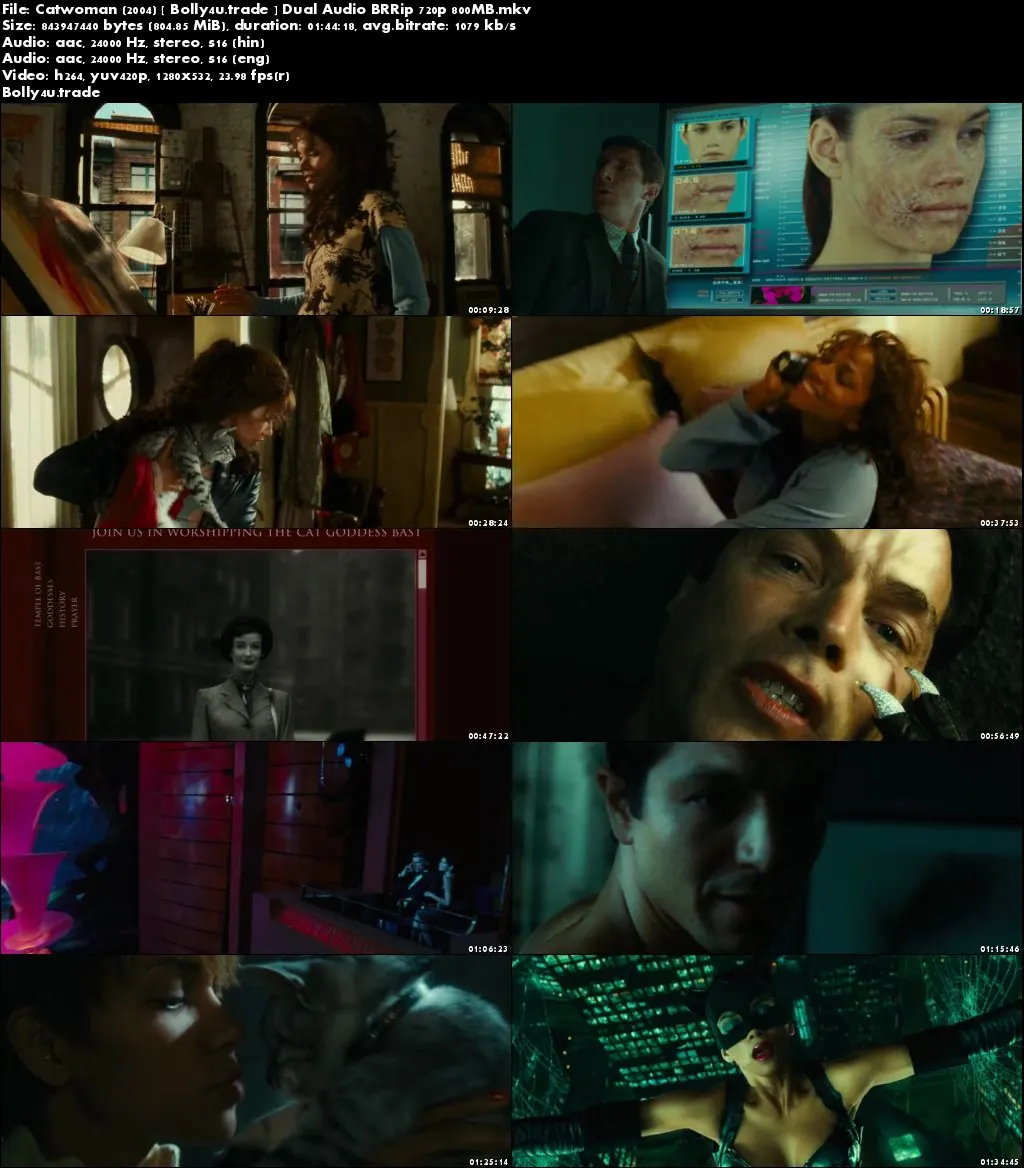 Catwoman 2004 BRRip 480p Hindi Dual Audio 350MB Download