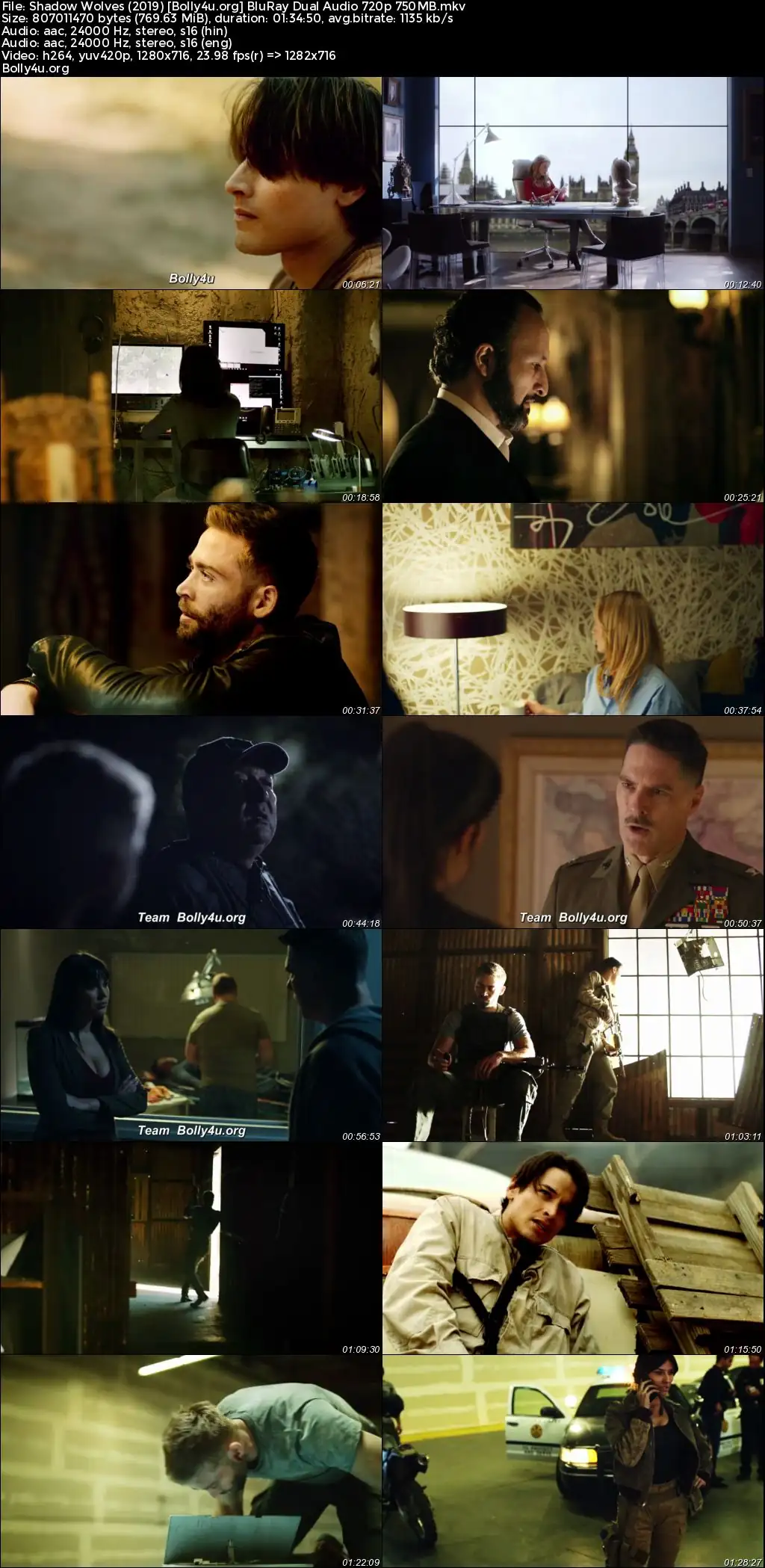 Shadow Wolves 2019 BluRay Hindi Dual Audio Full Movie Download 1080p  720p  480p