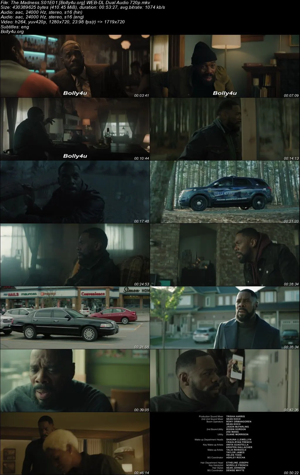 The Madness 2024 WEB-DL Hindi Dual Audio ORG S01 Complete Download 720p  480p
