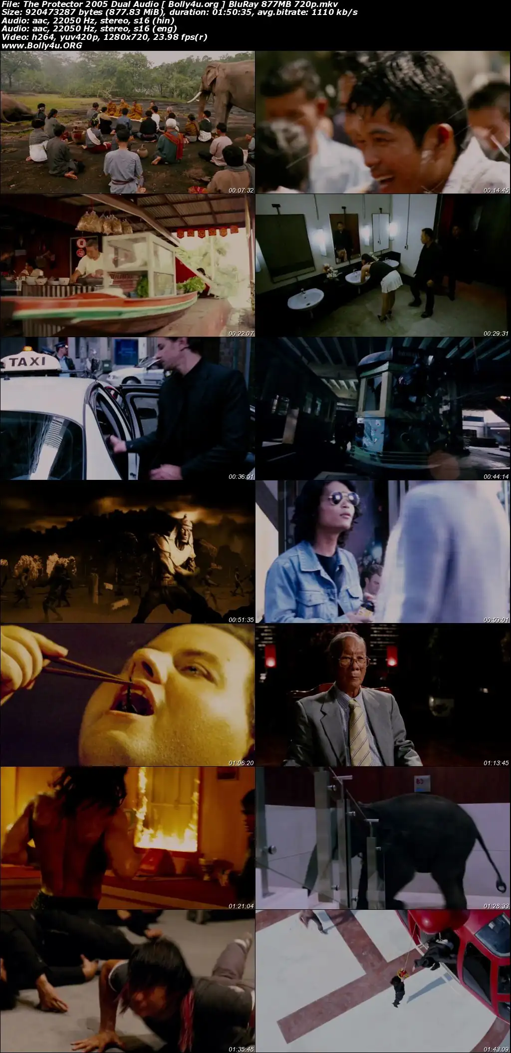 The Protector 2005 BluRay 400Mb Hindi Dual Audio 480p Download