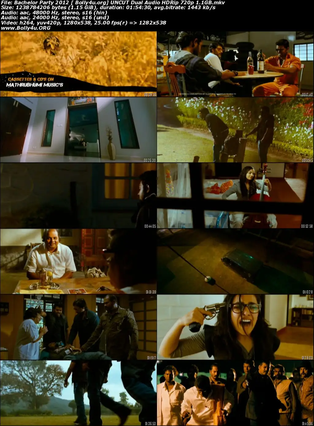 Bachelor Party 2012 HDRip 1.1GB UNCUT Hindi Dual Audio 720p Download