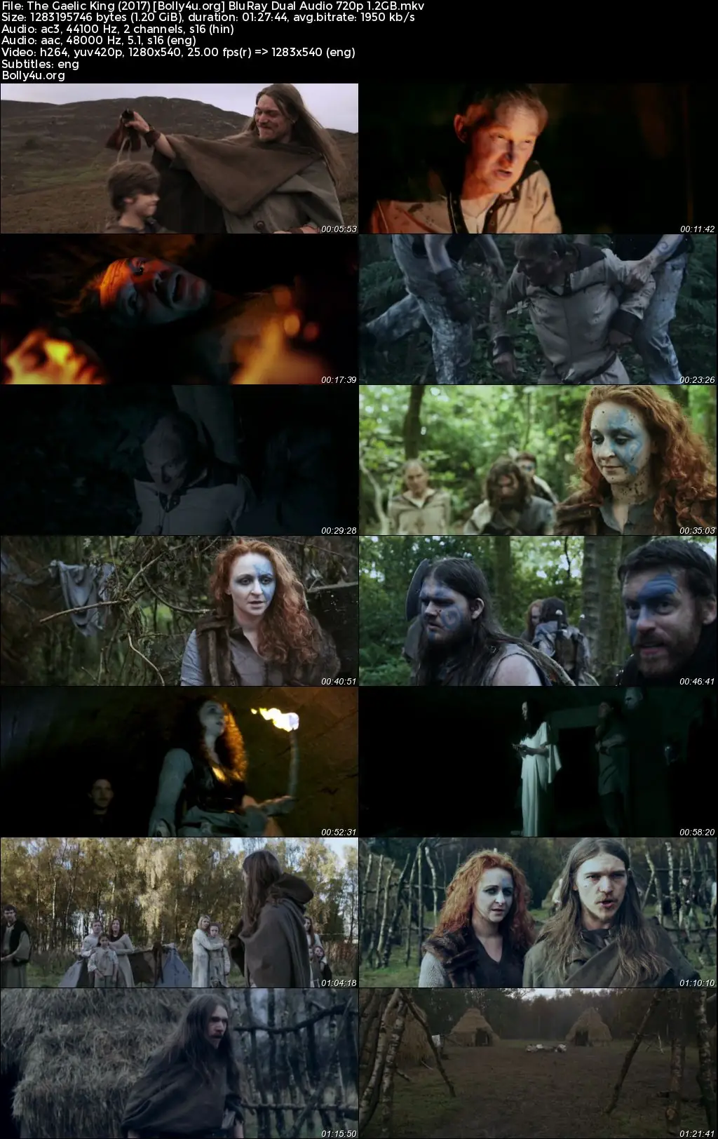 The Gaelic King 2017 BluRay Hindi Dual Audio Full Movie Download 720p  480p