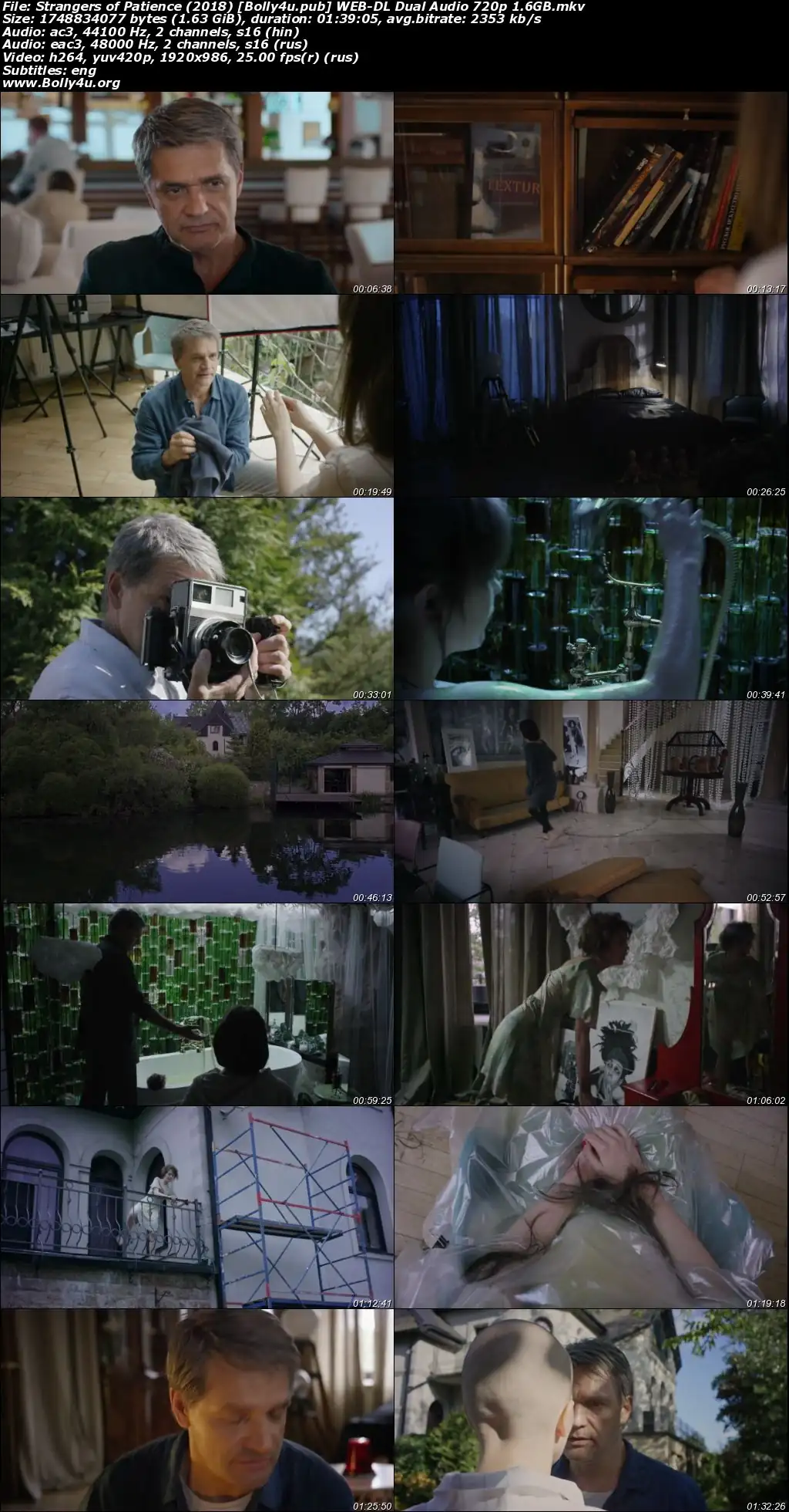 Strangers of Patience 2018 WEB-DL Hindi Dual Audio Full Movie Download 720p  480p