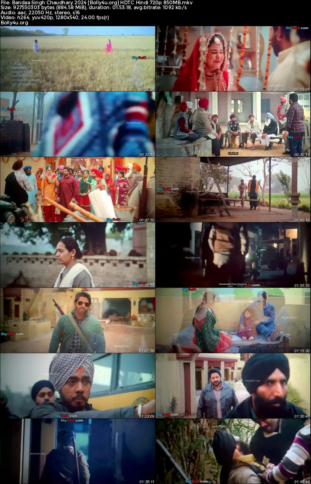 Bandaa Singh Chaudhary 2024 HDTC Hindi Full Movie Download 1080p  720p  480p