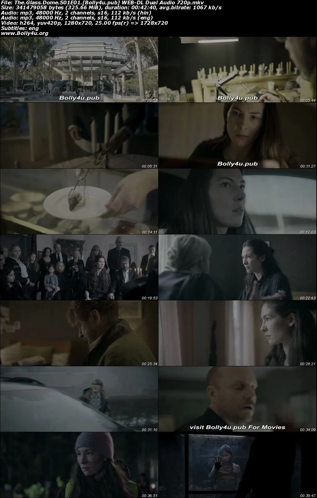 The Glass Dome 2025 WEB-DL Hindi Dual Audio ORG S01 Complete Download 720p  480p