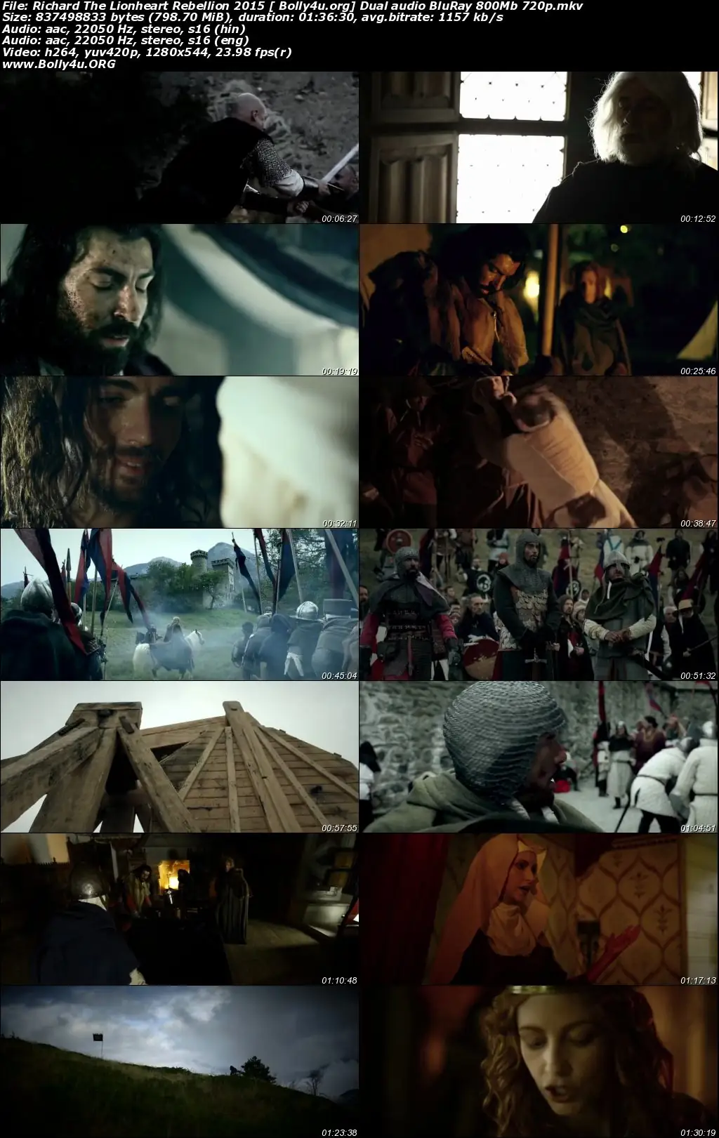 Richard The Lionheart Rebellion 2015 BRRip 800Mb Hindi Dual Audio 720p Download