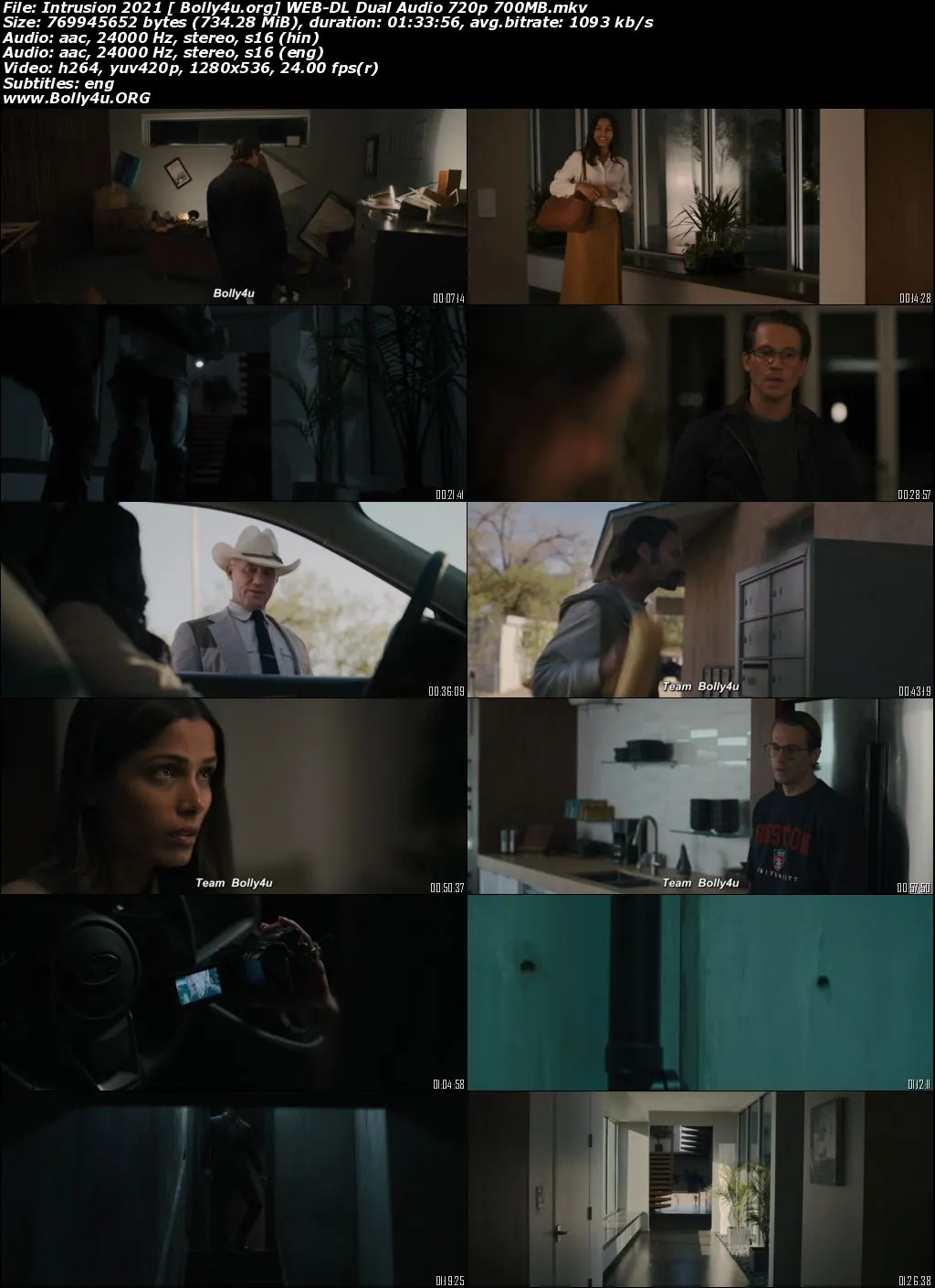 Intrusion 2021 WEB-DL 700MB Hindi Dual Audio ORG 720p ESub Download