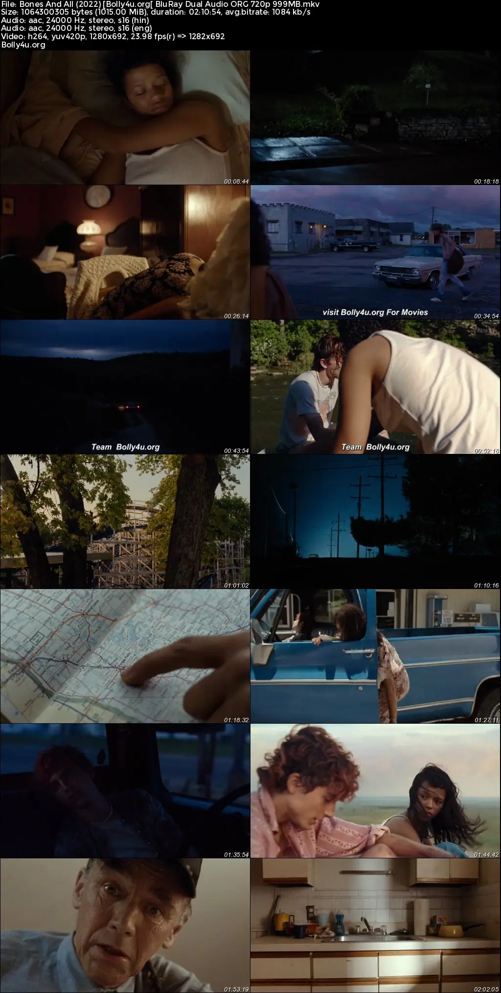 Bones And All 2022 BuRay Hindi Dual Audio ORG Full Movie Download 1080p  720p  480p