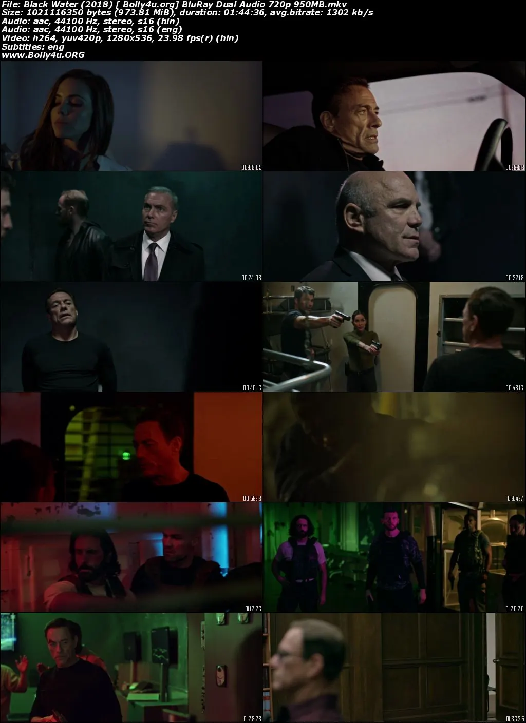 Black Water 2018 BluRay Hindi Dual Audio ORG 720p 480p Download