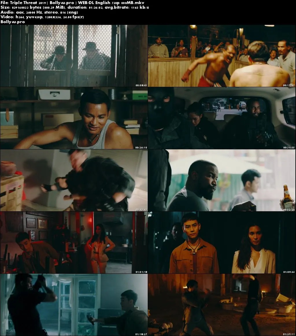 Triple Threat 2019 WEB-DL 800MB English 720p Download