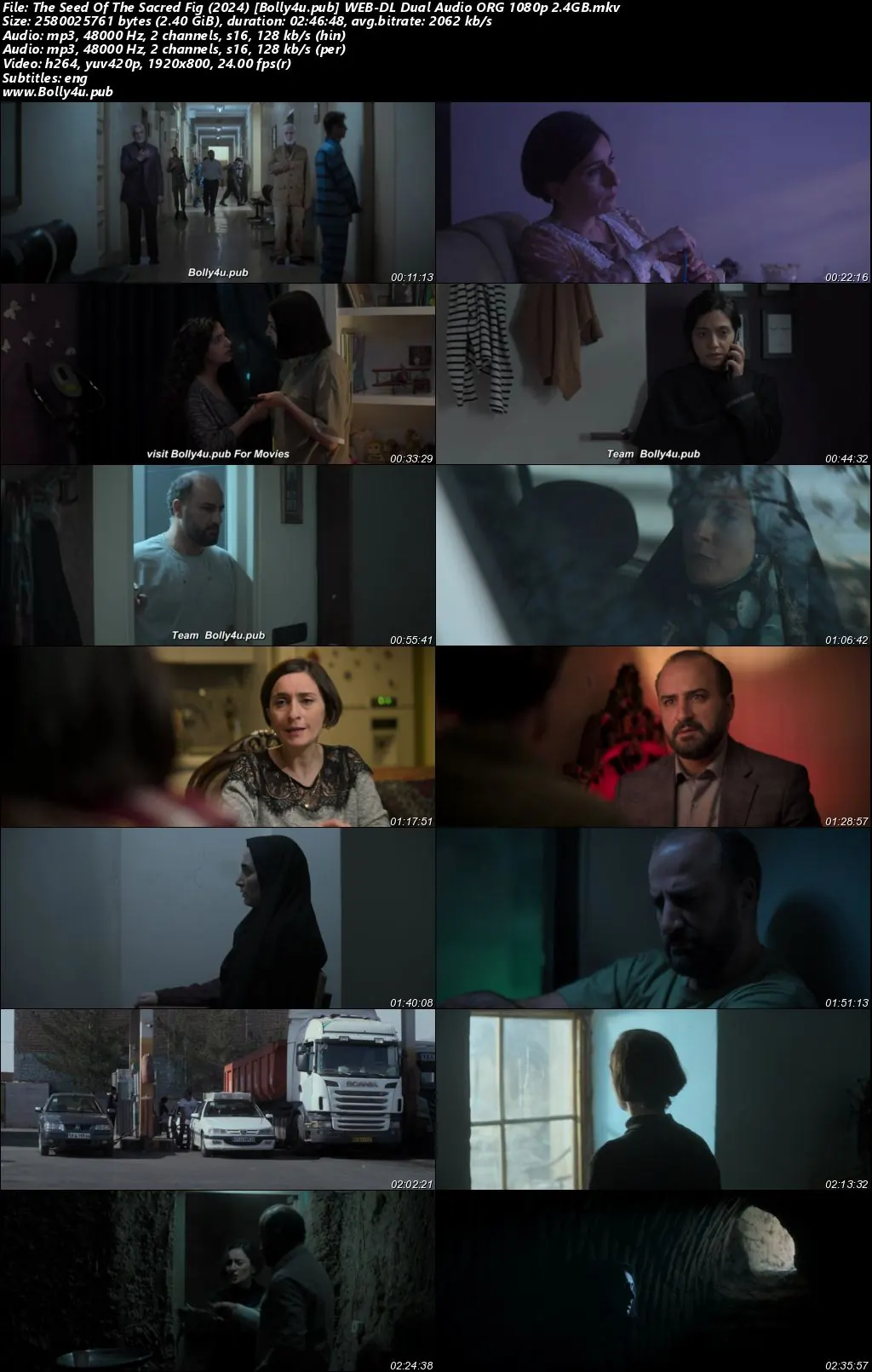 The Seed Of The Sacred Fig 2024 WEB-DL Hindi Dual Audio ORG Full Movie Download 1080p  720p  480p