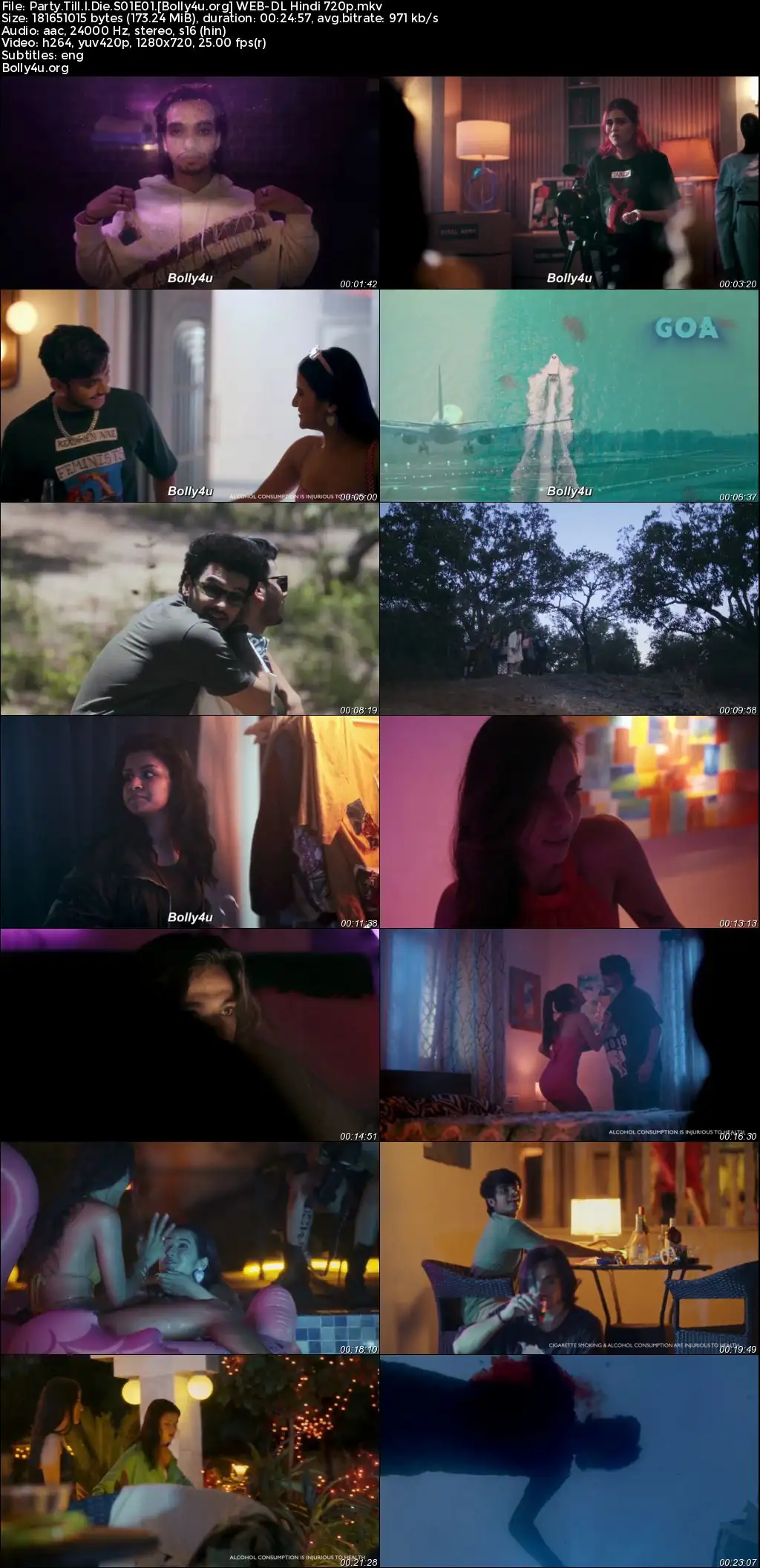 Party Till I Die 2024 WEB-DL Hindi S01 Complete Download 720p  480p