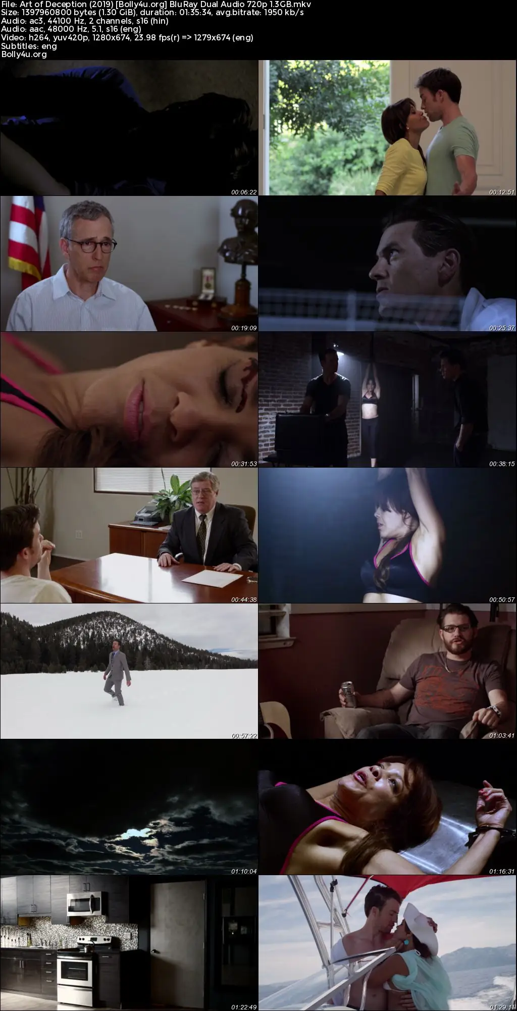 Art of Deception 2019 BluRay Hindi Dual Audio Full Movie Download 720p  480p