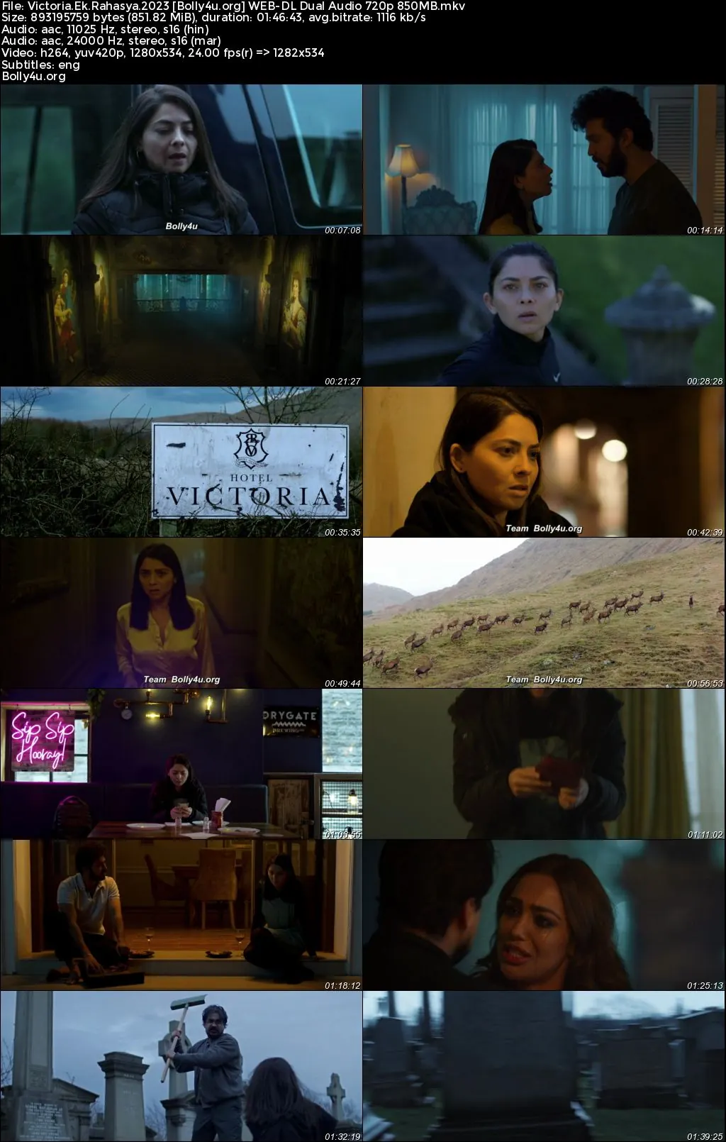Victoria Ek Rahasya 2023 WEB-DL Hindi Dual Audio Full Movie Download 1080p  720p  480p