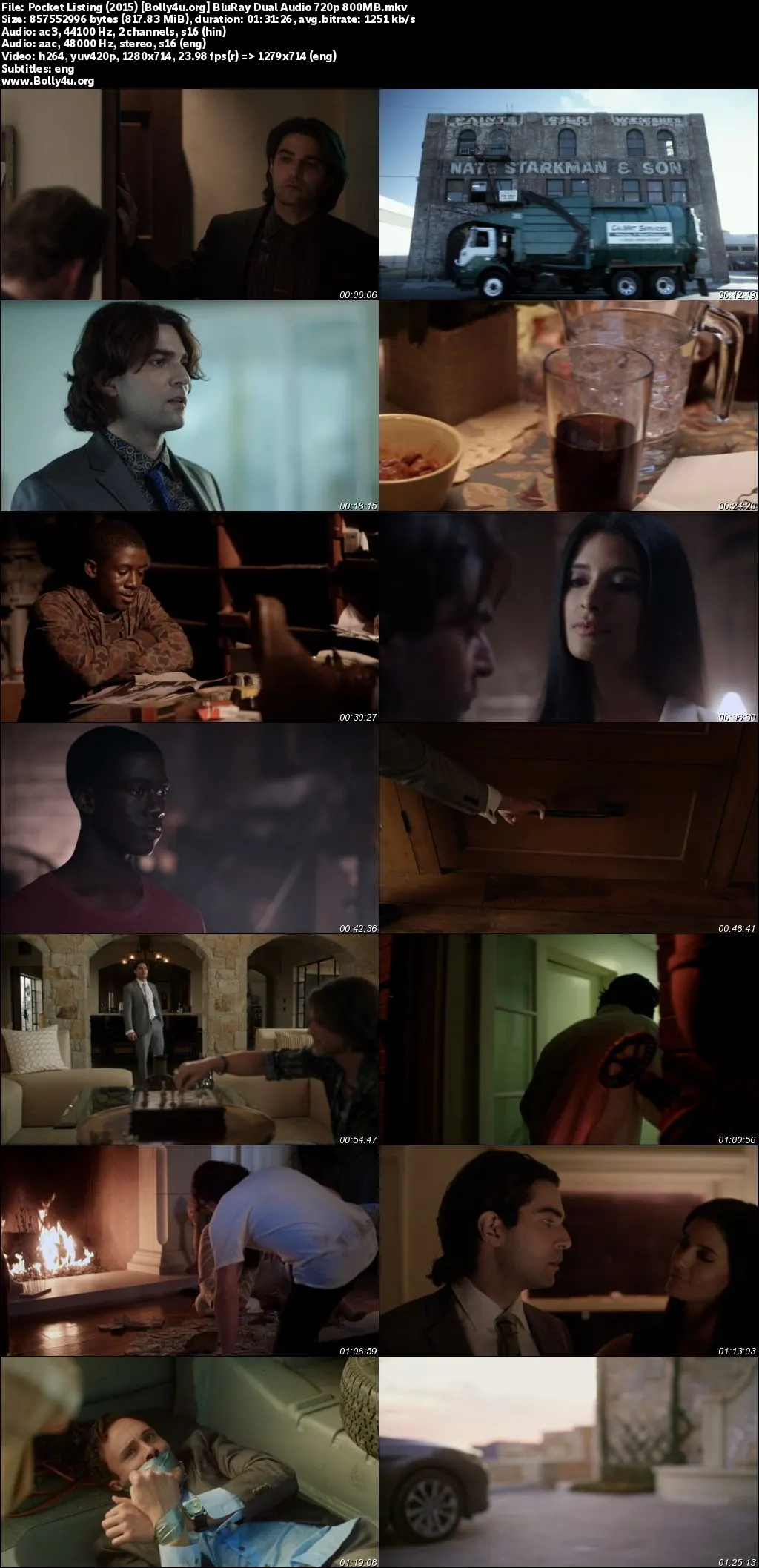 Pocket Listing 2015 BluRay Hindi Dual Audio Full Movie Download 720p  480p