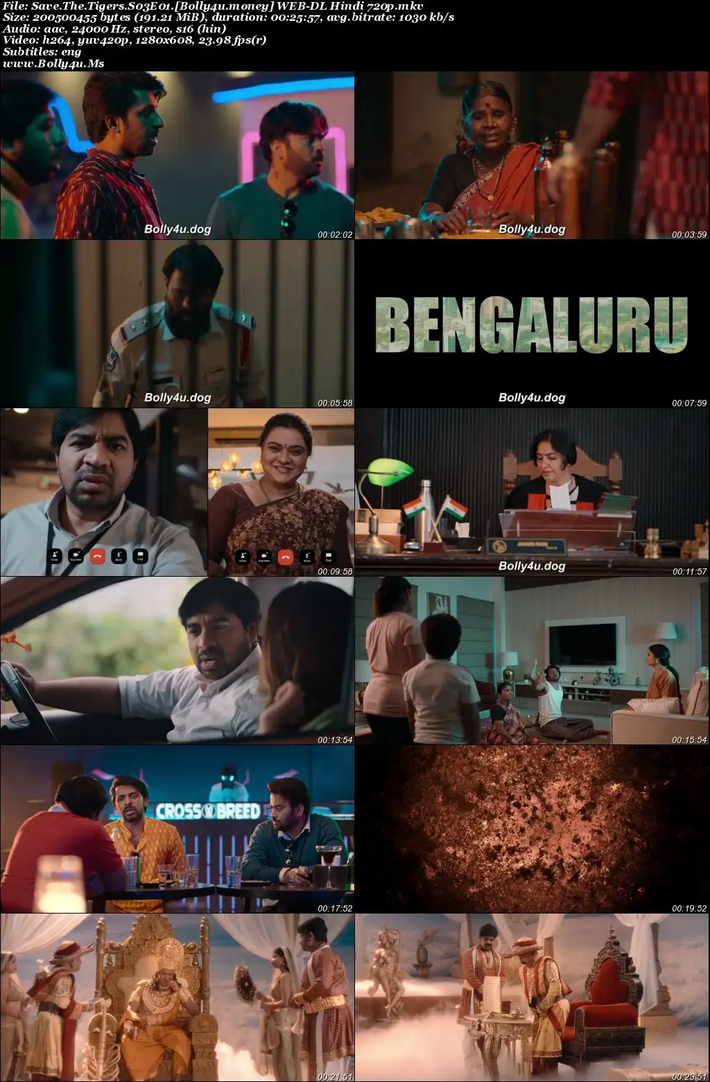 Save The Tigers 2026 WEB-DL Hindi S03 Complete Download 720p  480p