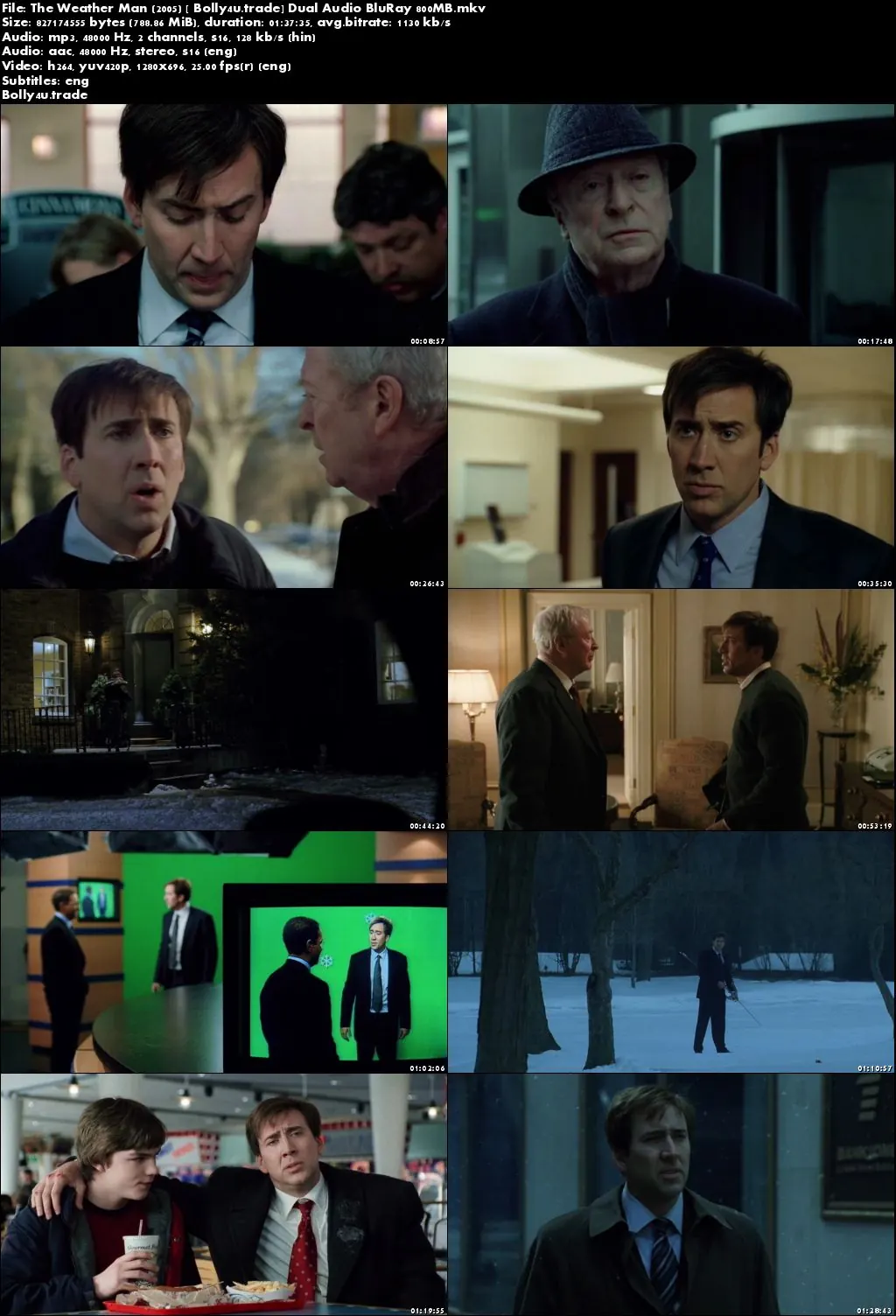 The Weather Man 2005 BluRay 350MB Hindi Dual Audio 480p Download