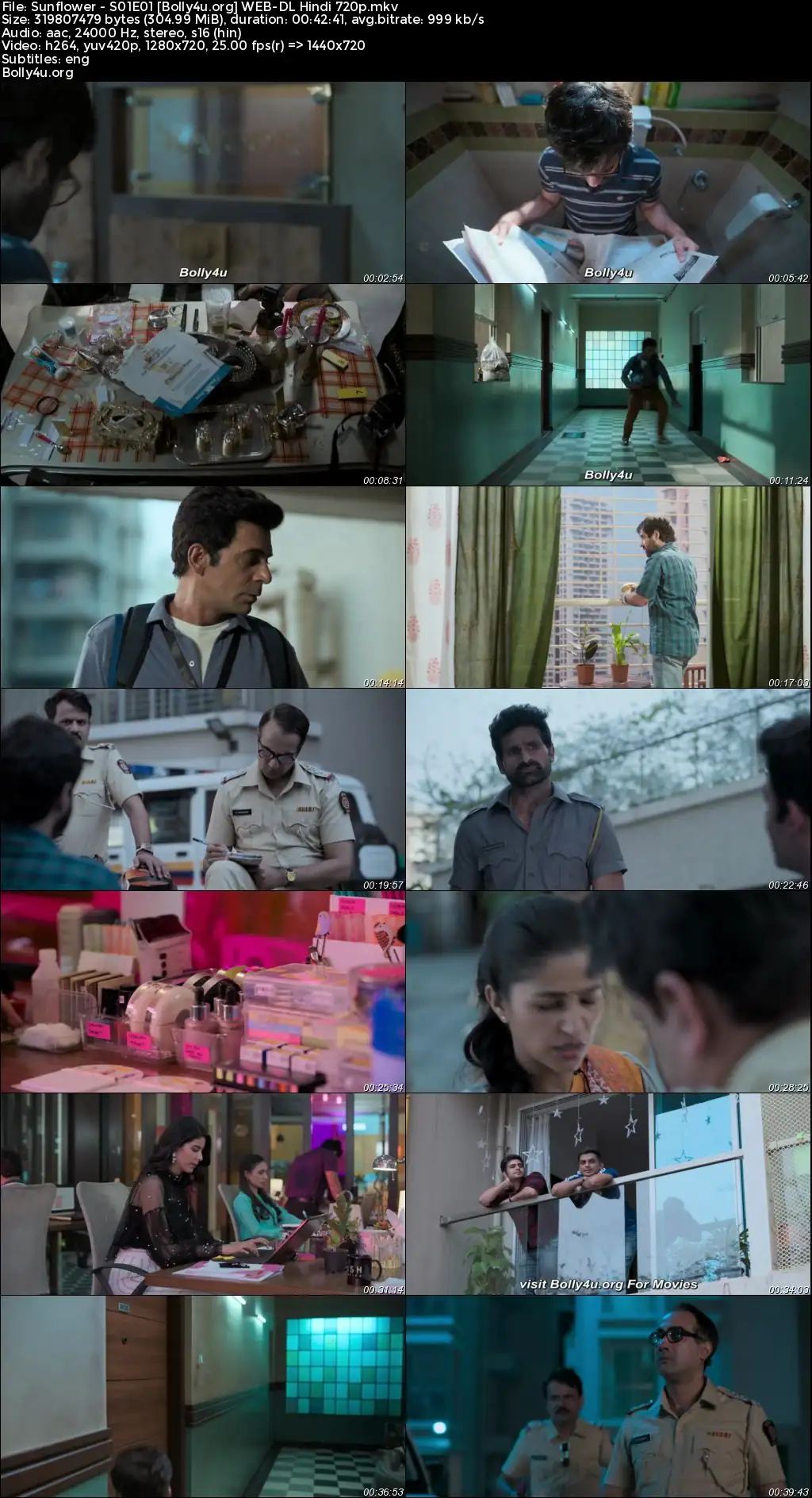 Sunflower 2021 WEB-DL Hindi S01 Complete Download 720p  480p