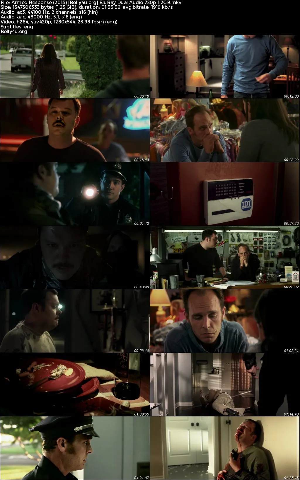 Armed Response 2013 BluRay Hindi Dual Audio Full Movie Download 720p  480p