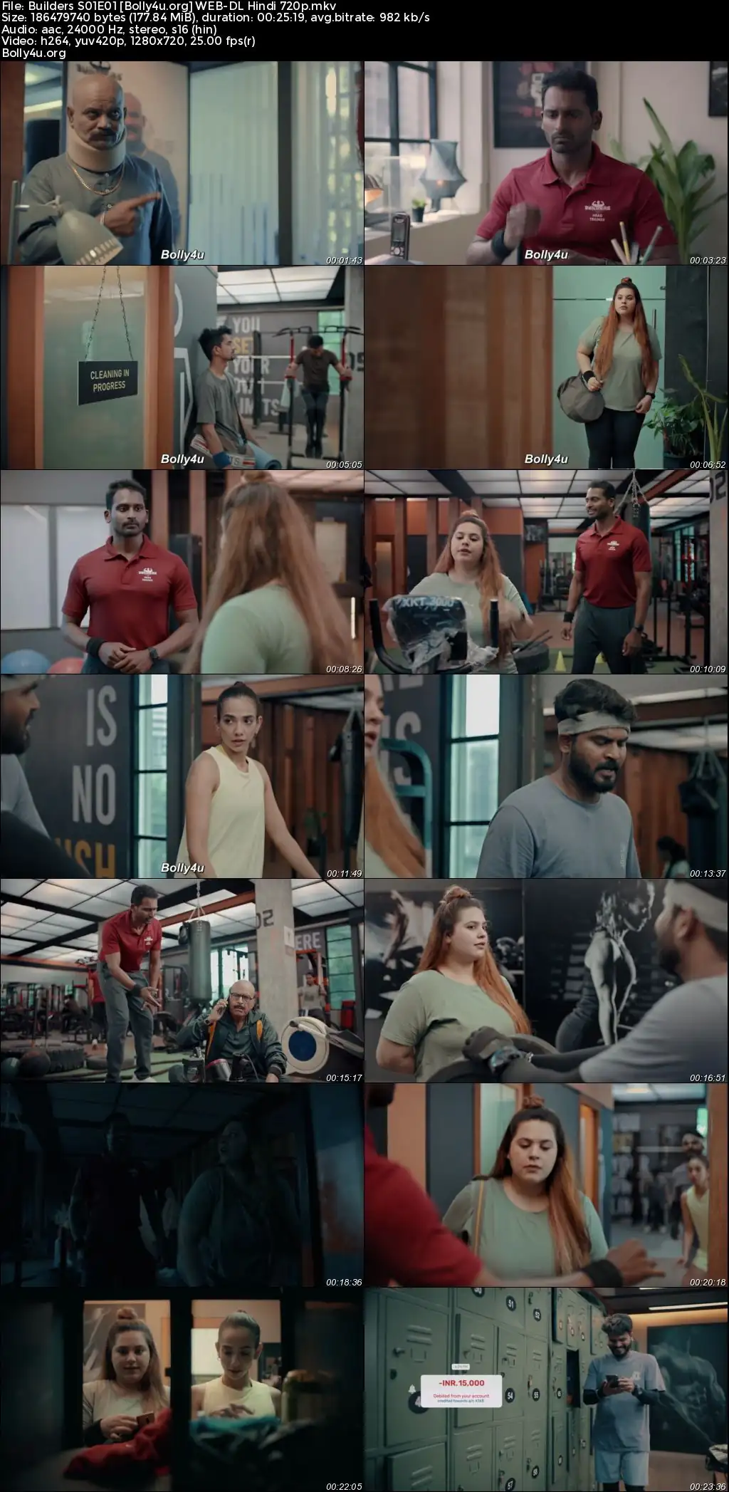 Builders 2023 WEB-DL Hindi S01 Complete Download 720p  480p