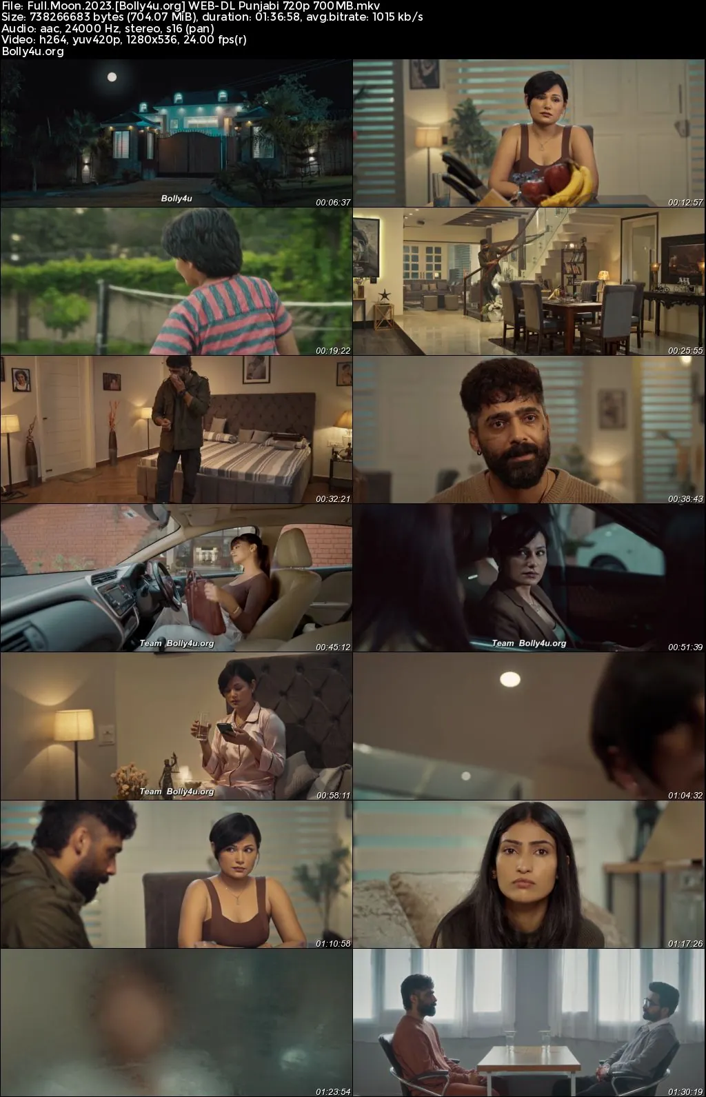 Full Moon 2023 WEB-DL Punjabi Full Movie Download 1080p  720p  480p