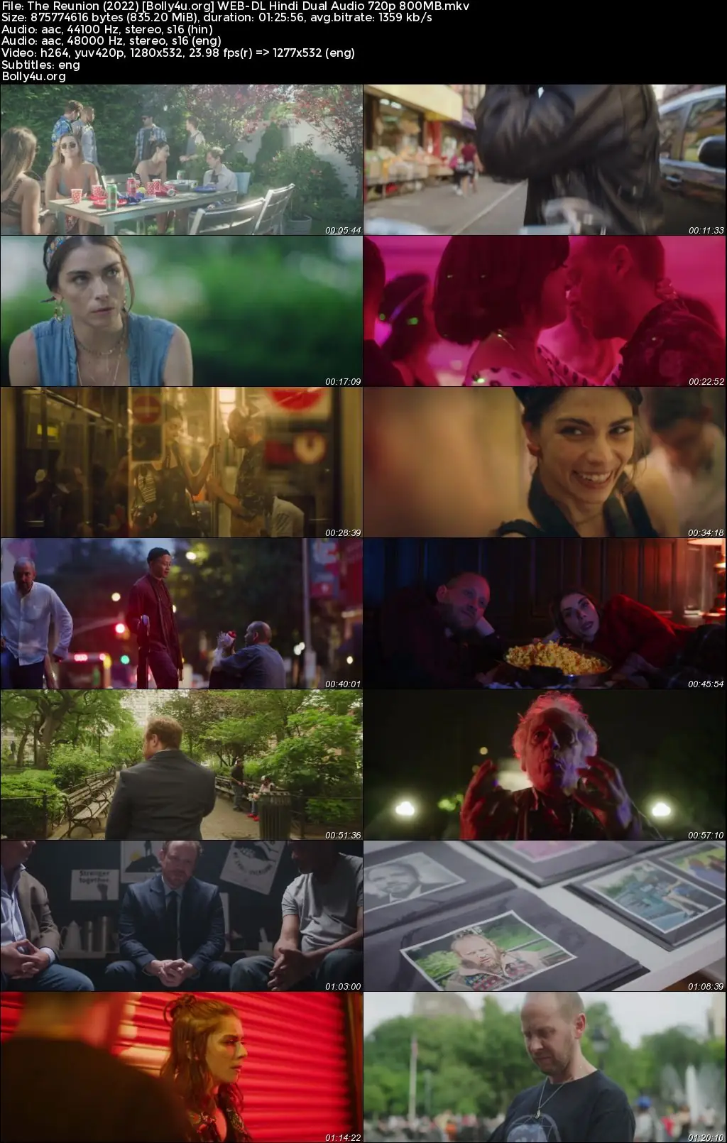 The Reunion 2022 WEB-DL Hindi Dual Audio Full Movie Download 720p  480p