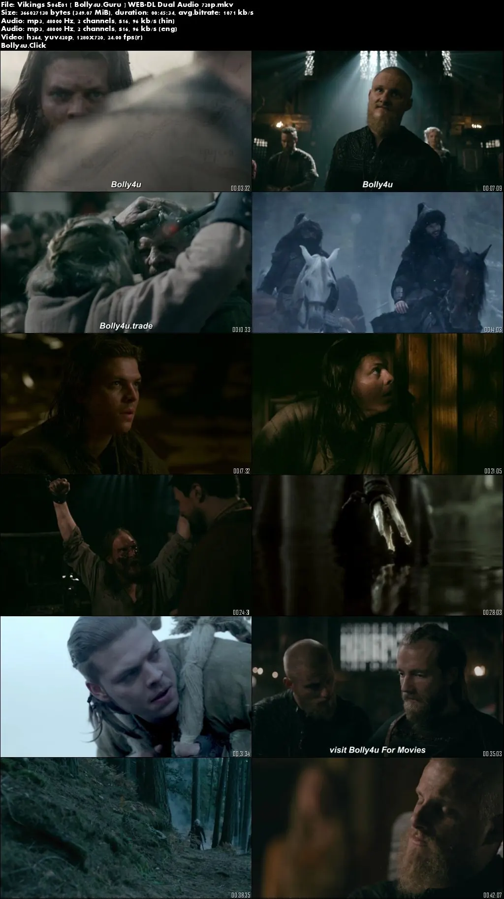 Vikings Season 06 Complete WEB-DL 1.7GB Hindi Dual Audio 720p Download
