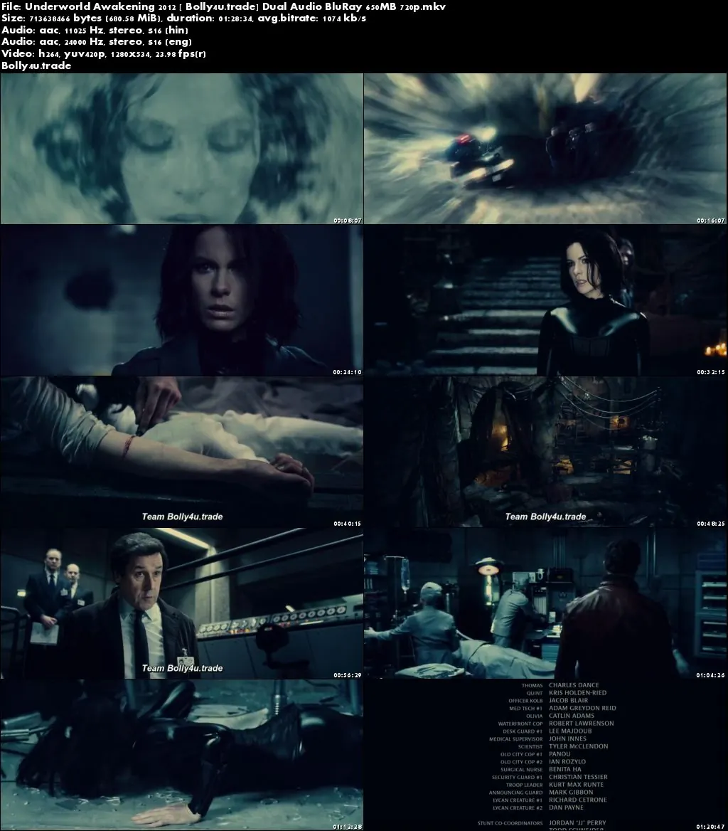Underworld Awakening 2012 BRRip 650Mb Hindi Dual Audio 720p Download