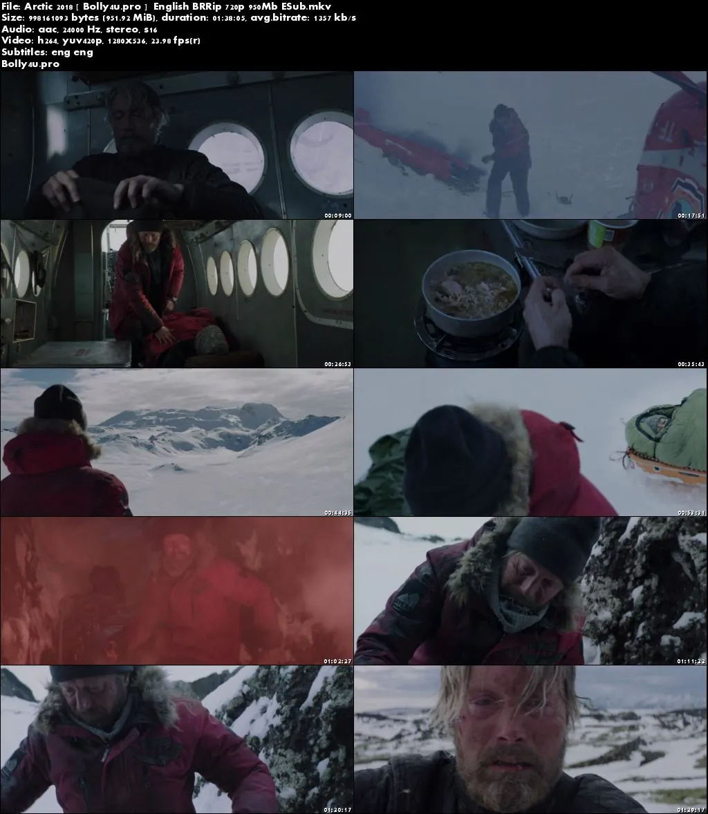 Arctic 2018 BRRip 300MB English 480p ESub Download
