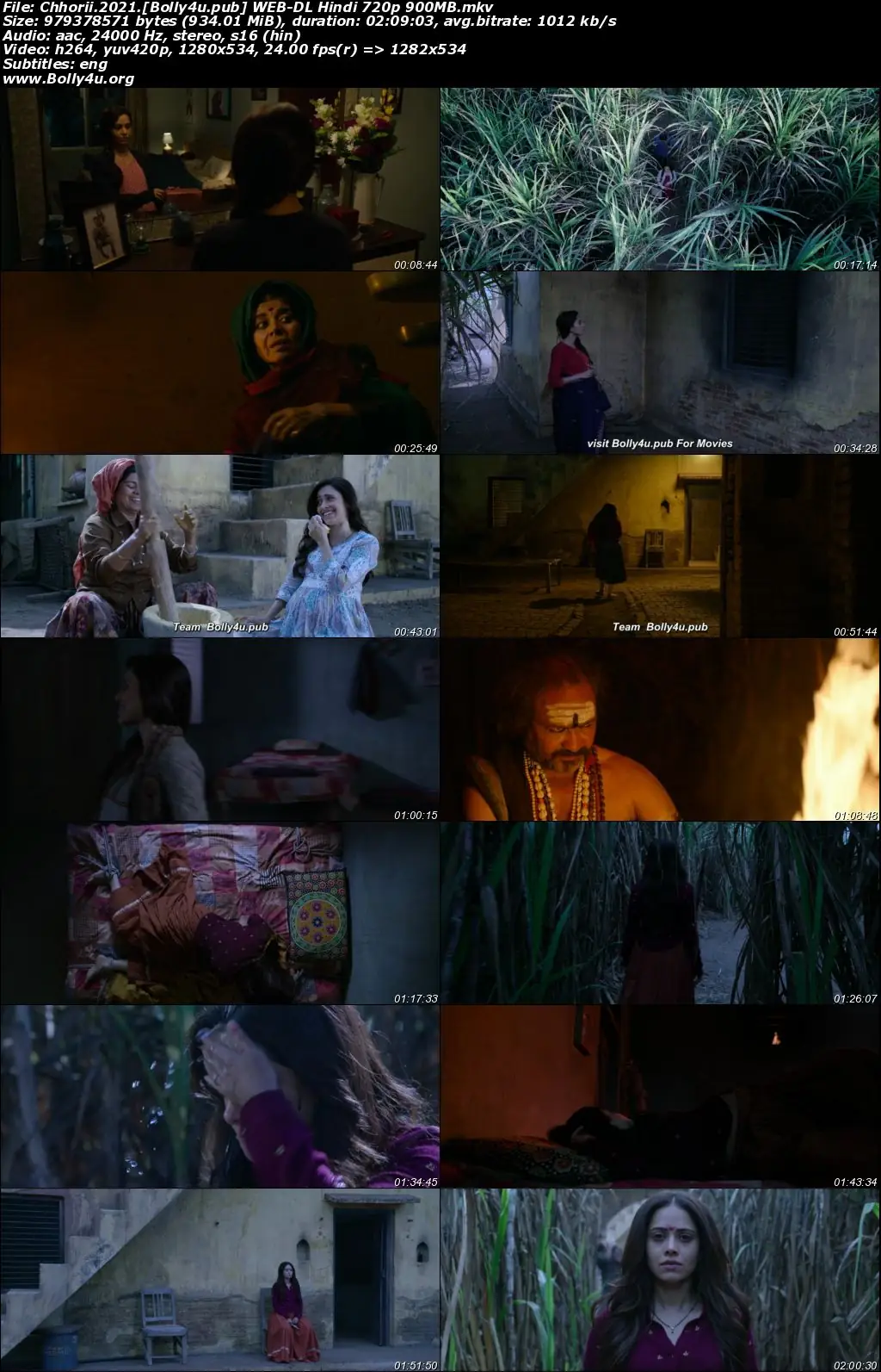 Chhorii 2021 WEB-DL Hindi Full Movie Download 1080p  720p  480p